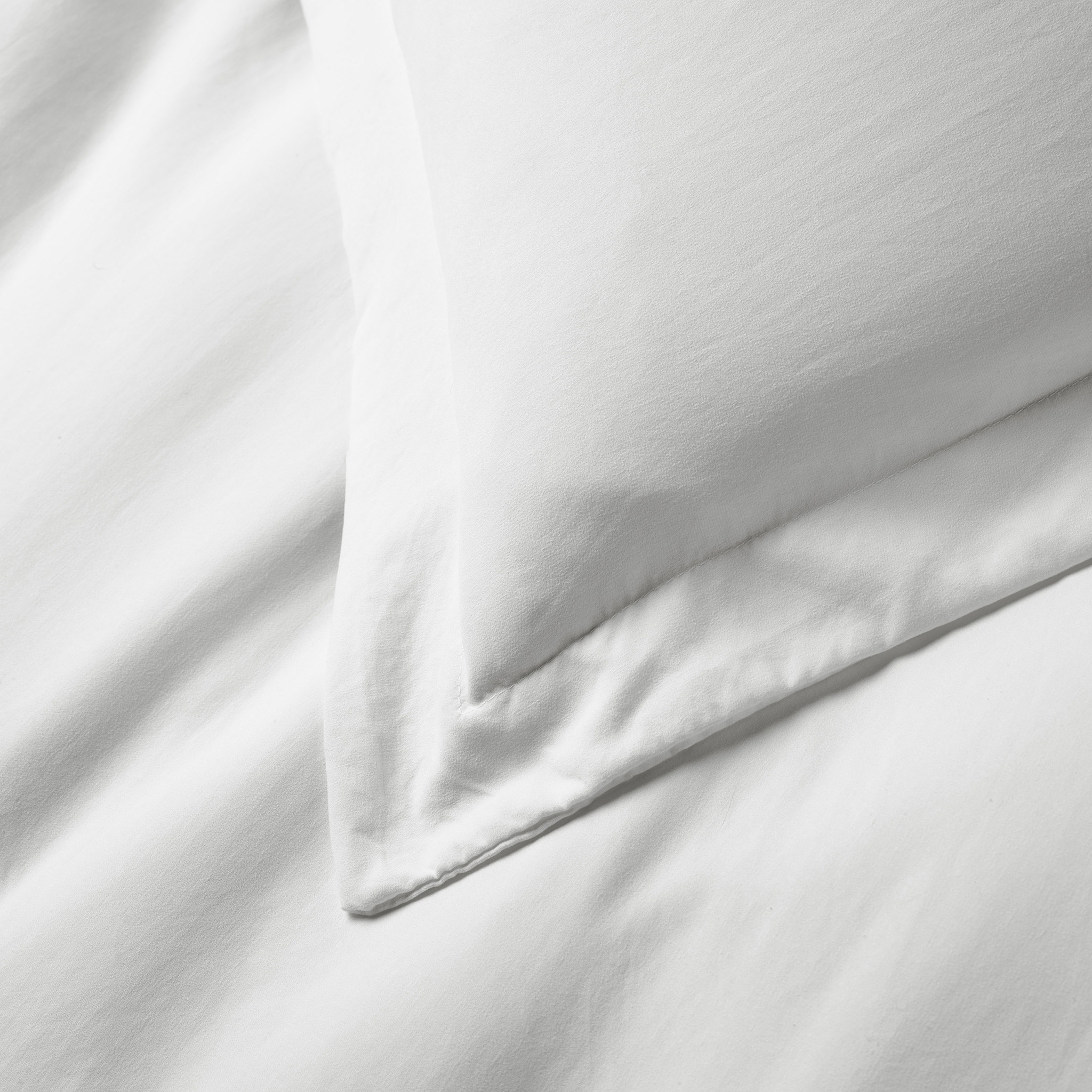 Enlarge Product Preview 4 Successfully Enriched by automation Job.