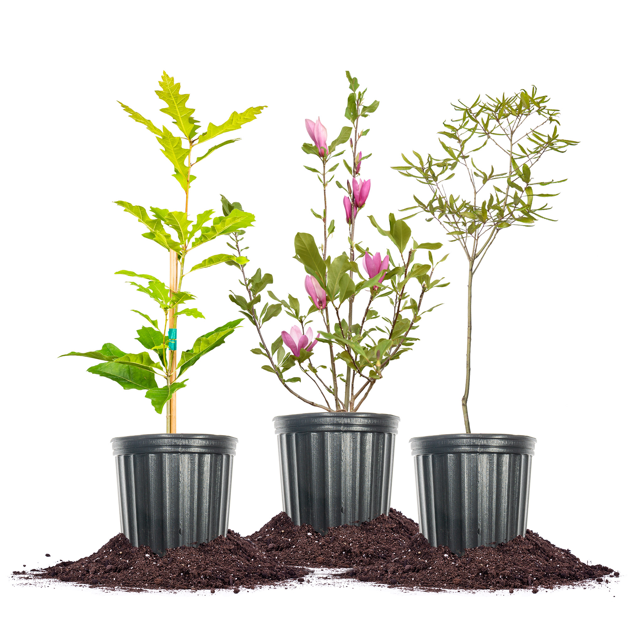 Enlarge Product Preview 9