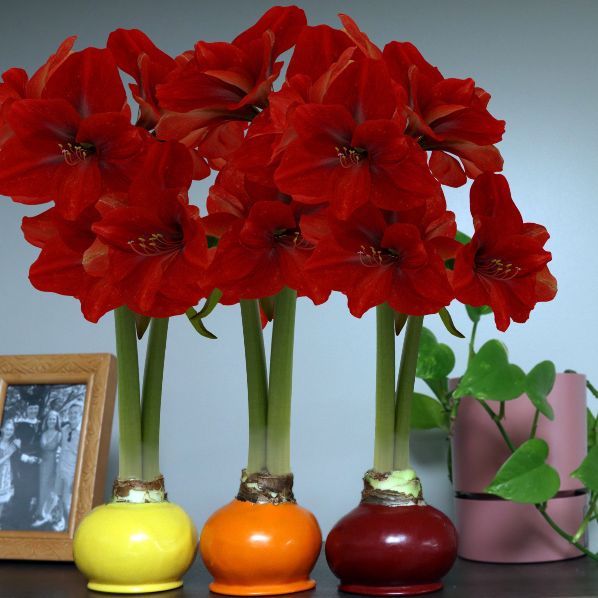 Enlarge Product Preview 4