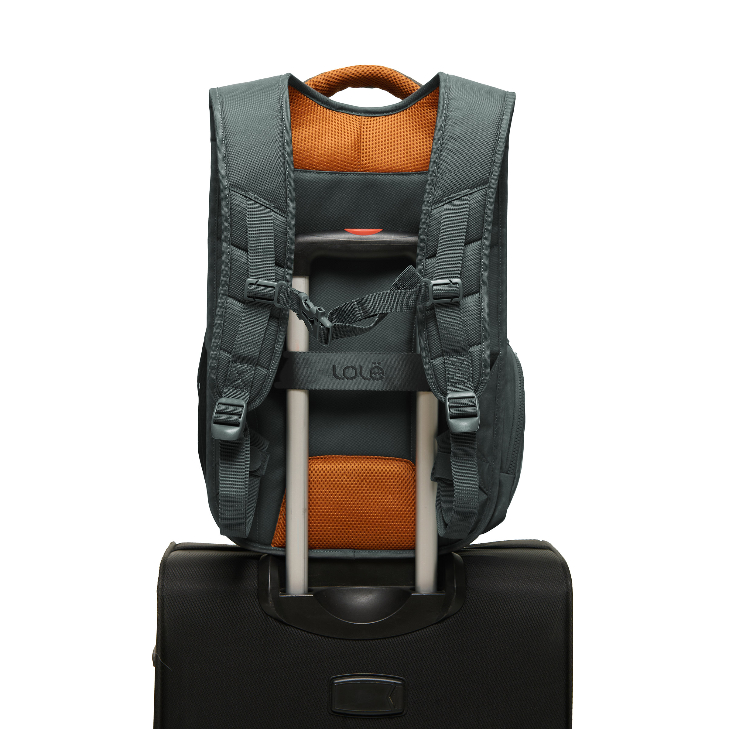 Enlarge Product Preview 7