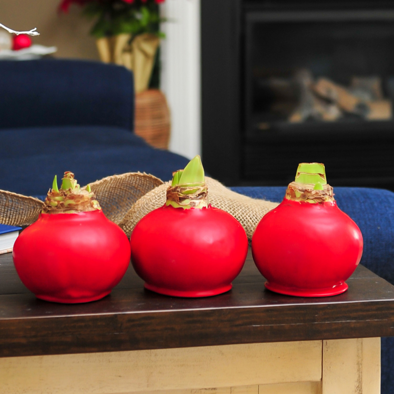 Enlarge Product Preview 6