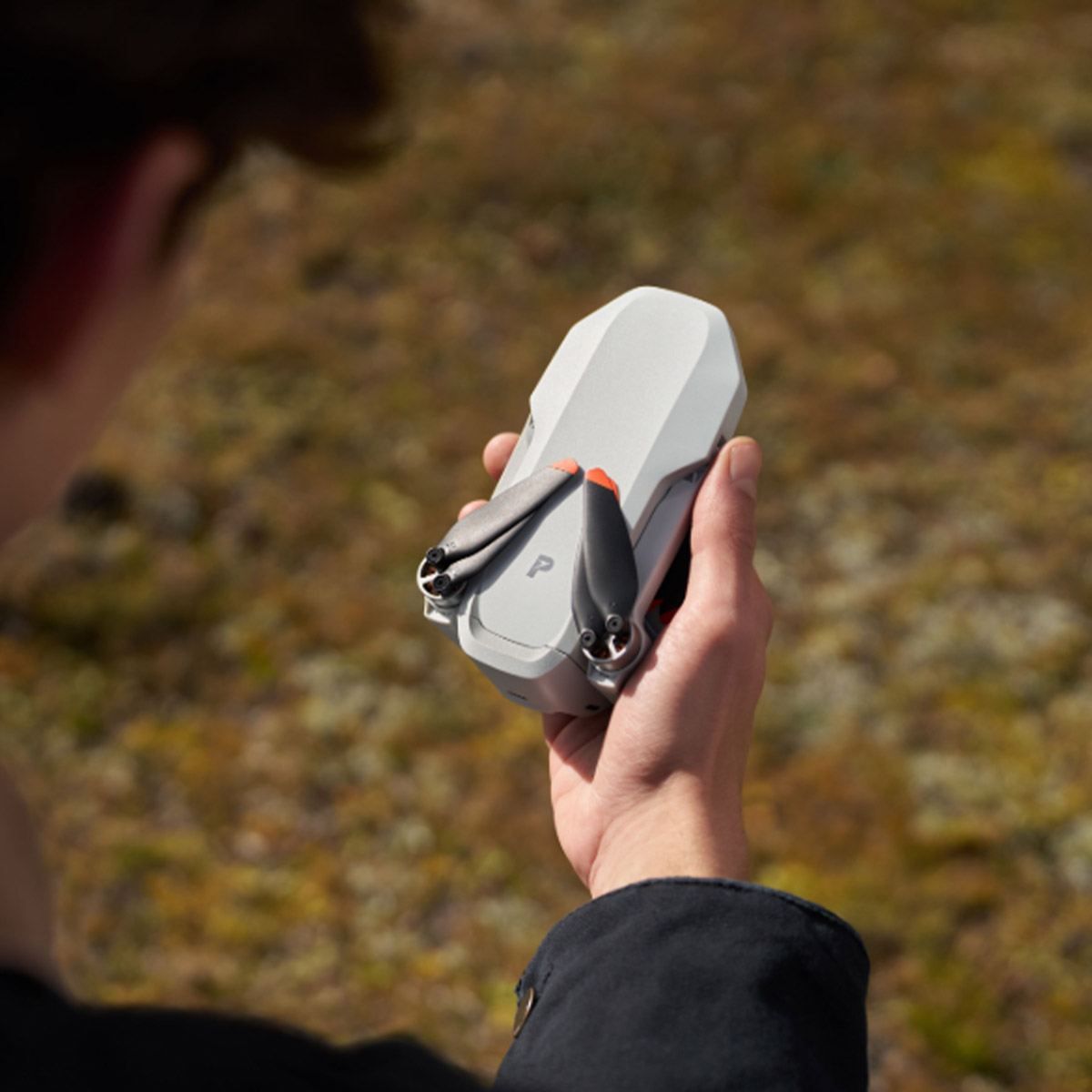 Enlarge Product Preview 8 Successfully Enriched by automation Job.