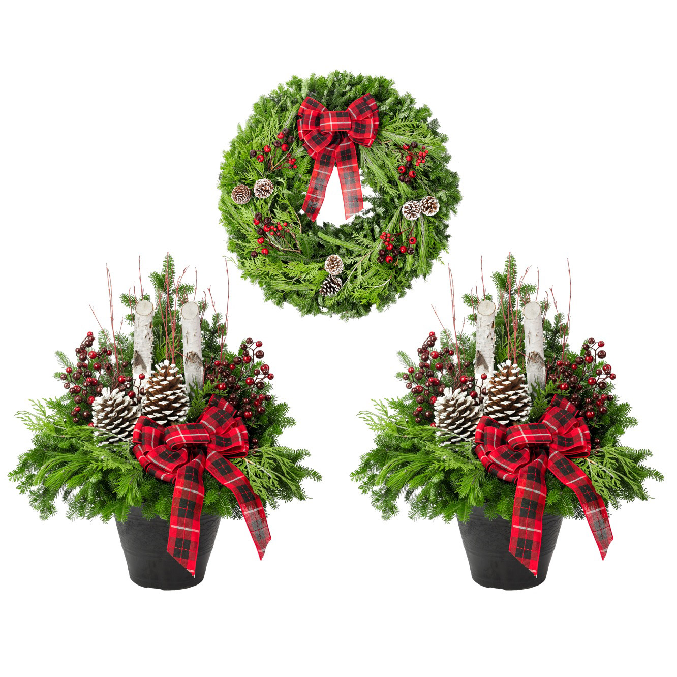 Premium Winter Garden Family, Traditional Theme, 3-pack
