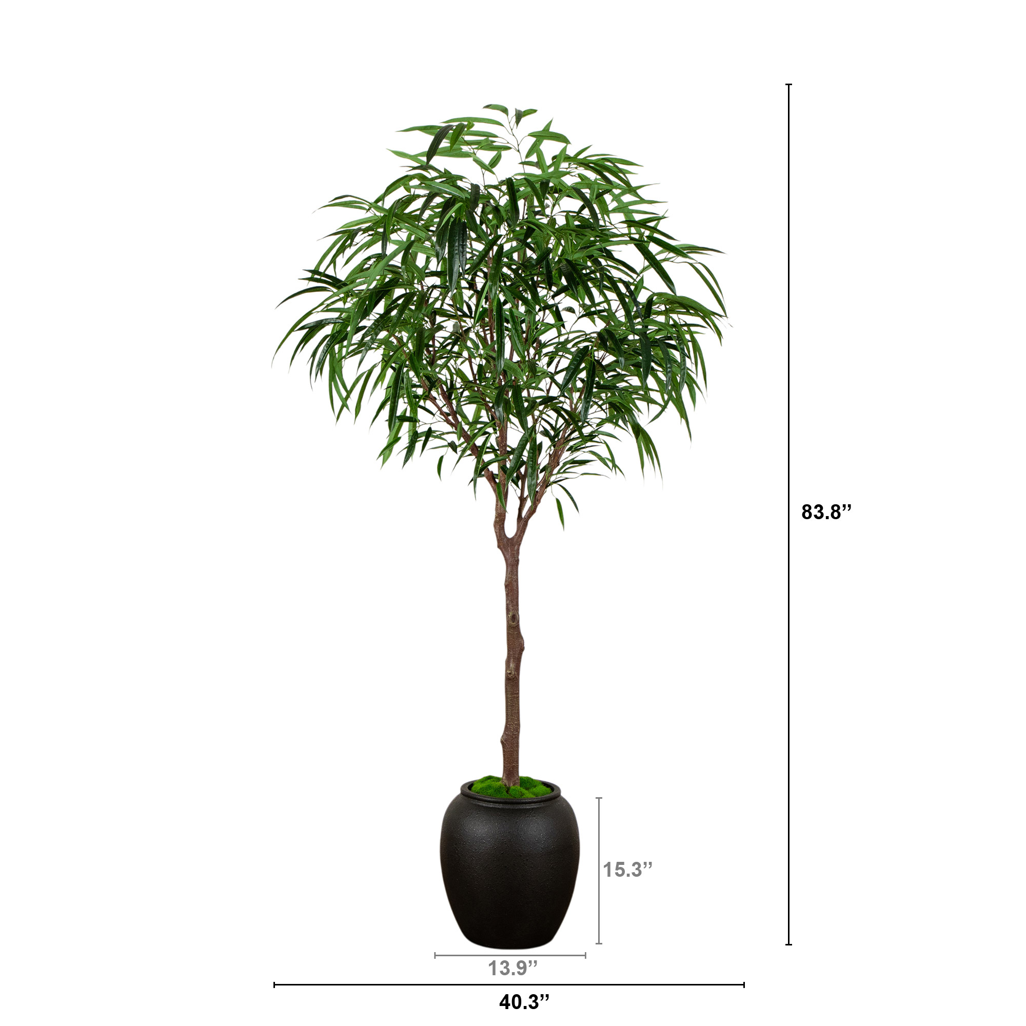 Enlarge Product Preview 2 Successfully Enriched by automation Job.