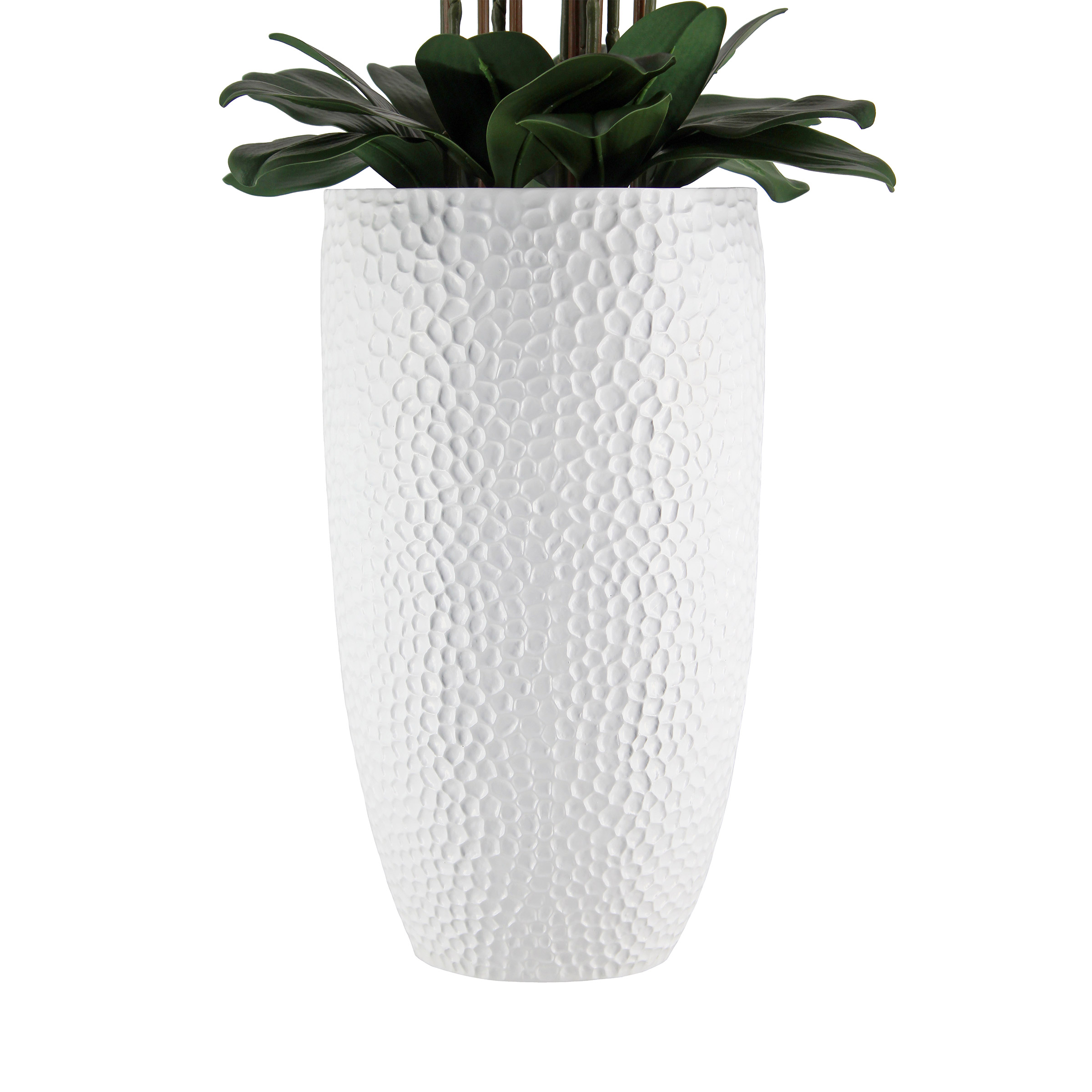 Enlarge Product Preview 8 Successfully Enriched by automation Job.