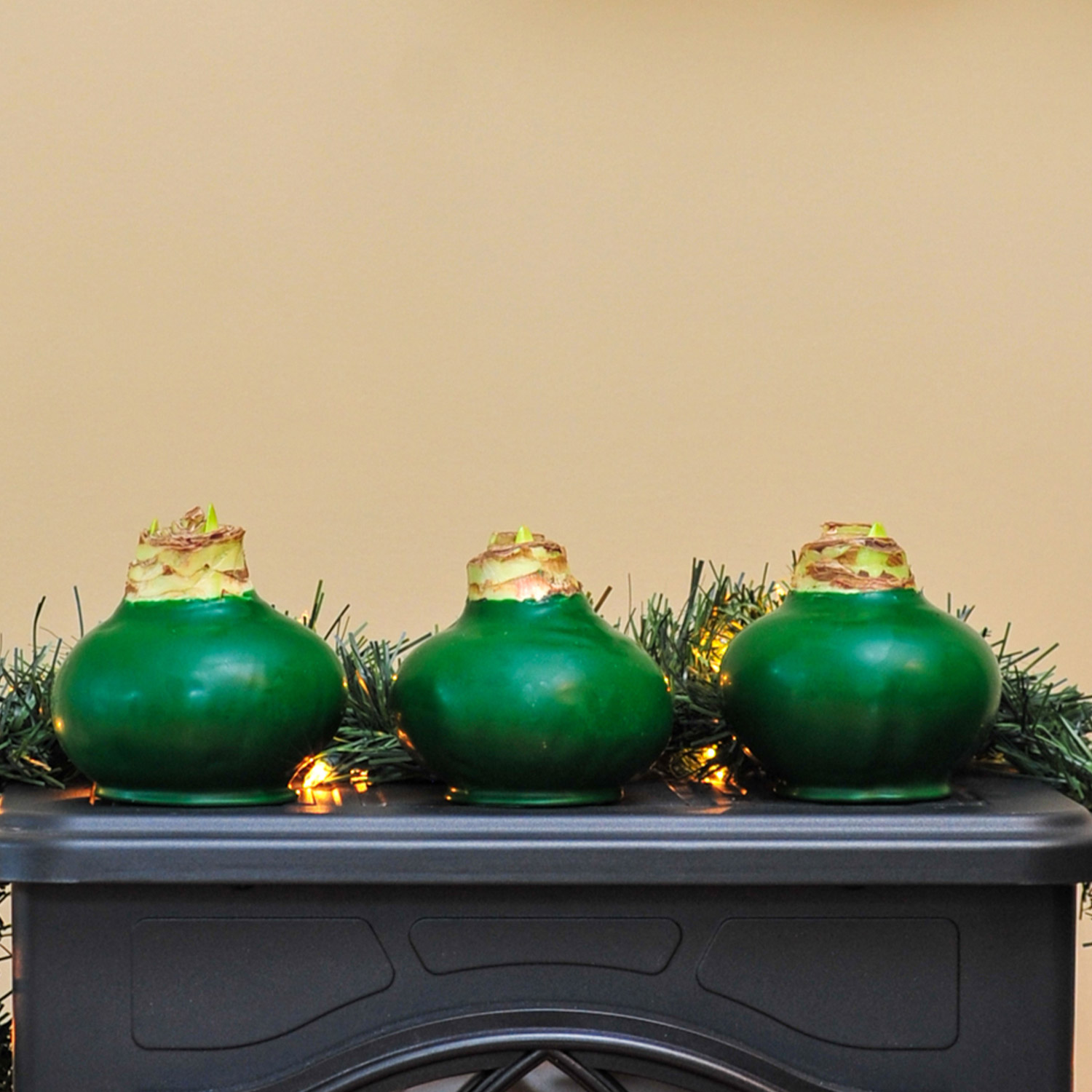 Enlarge Product Preview 4