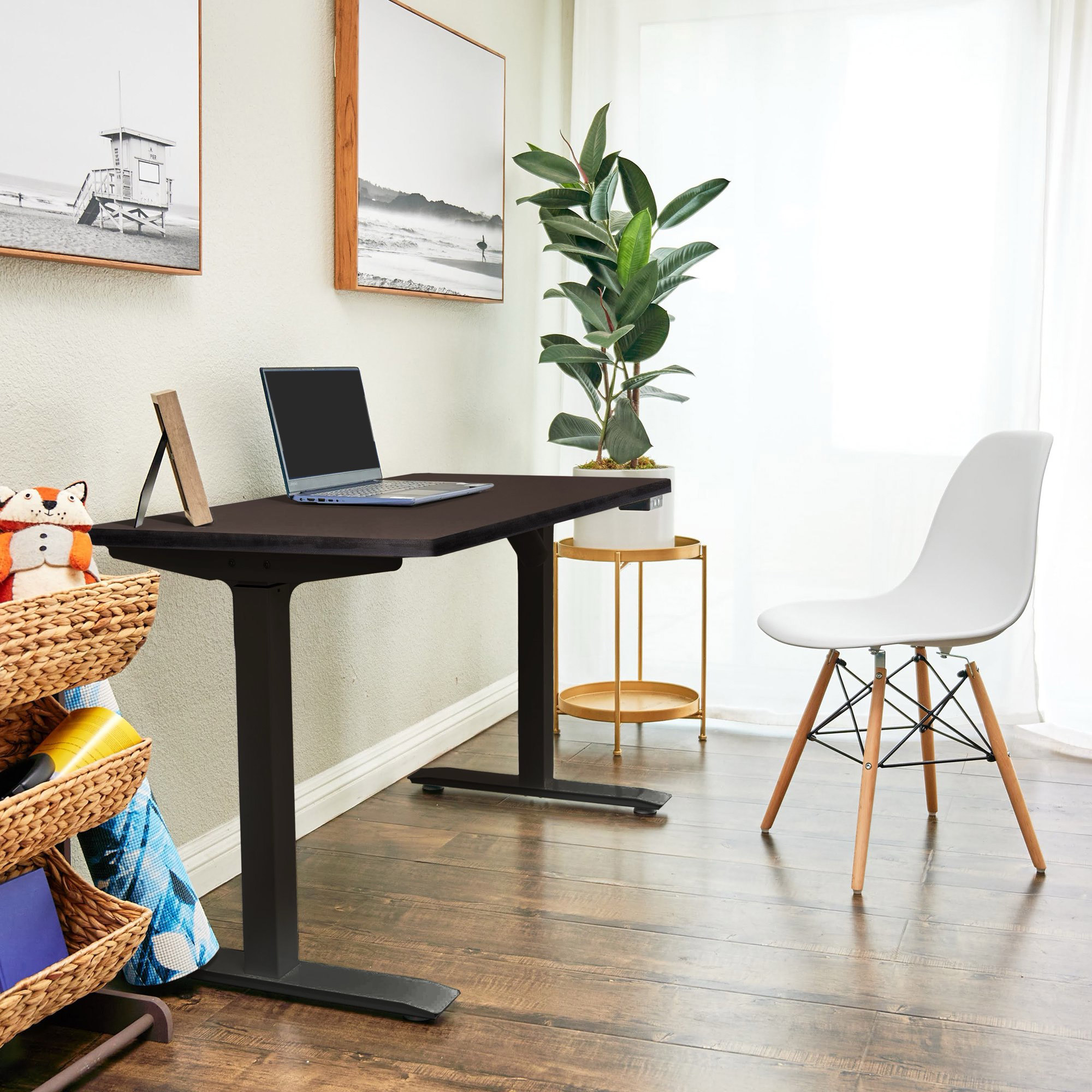 Motionwise 121.92 cm x 60.96 cm (48 in. x 24 in.) Single Motor Height Adjustable Desk