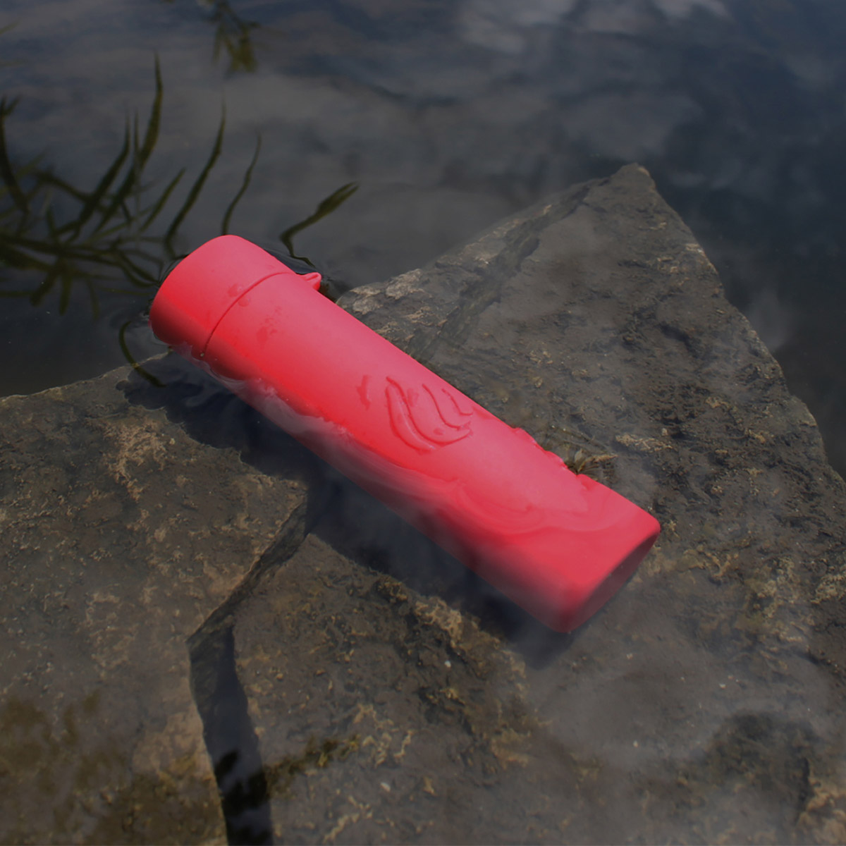 Enlarge Product Preview 4 Successfully Enriched by automation Job.