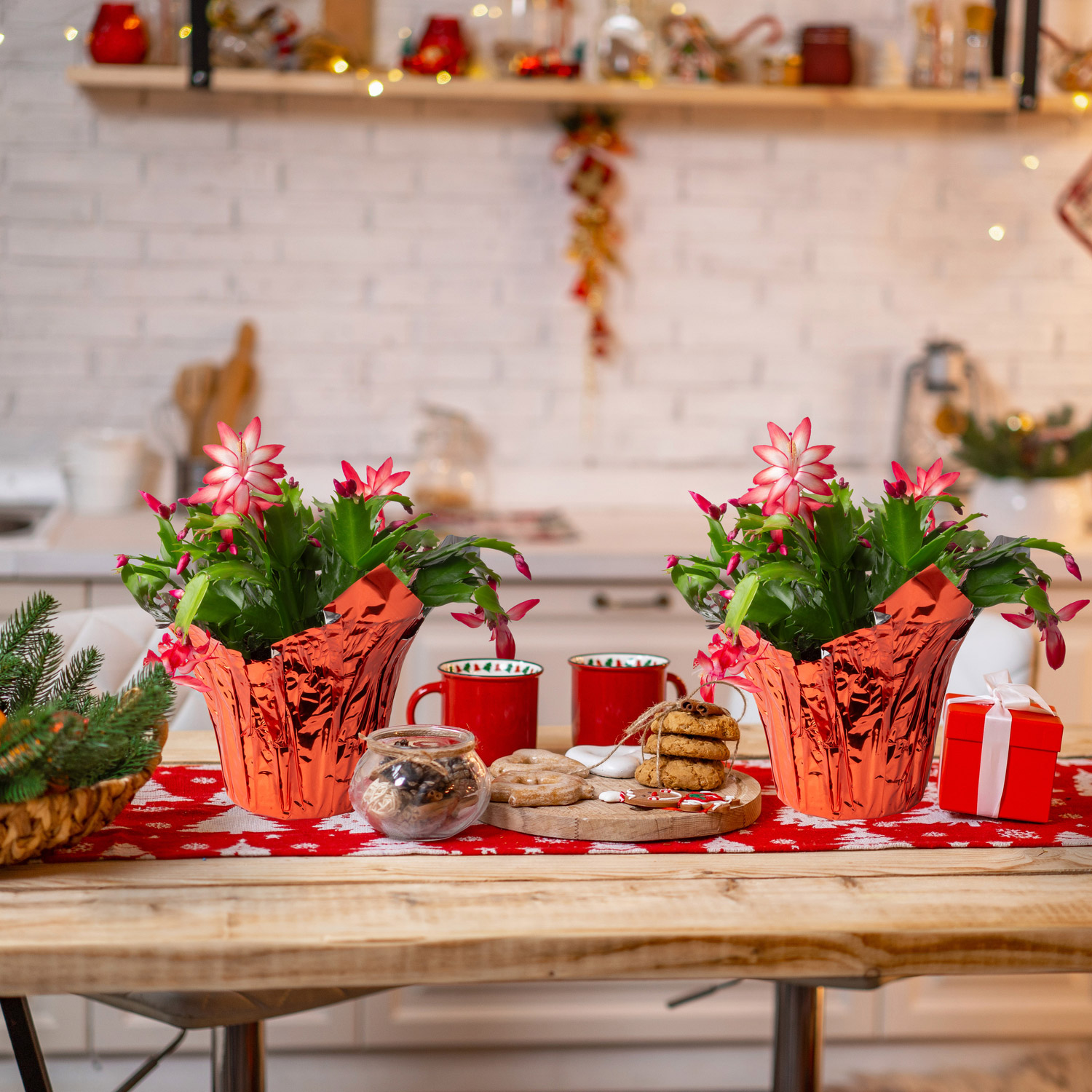 Enlarge Product Preview 2 Successfully Enriched by automation Job.