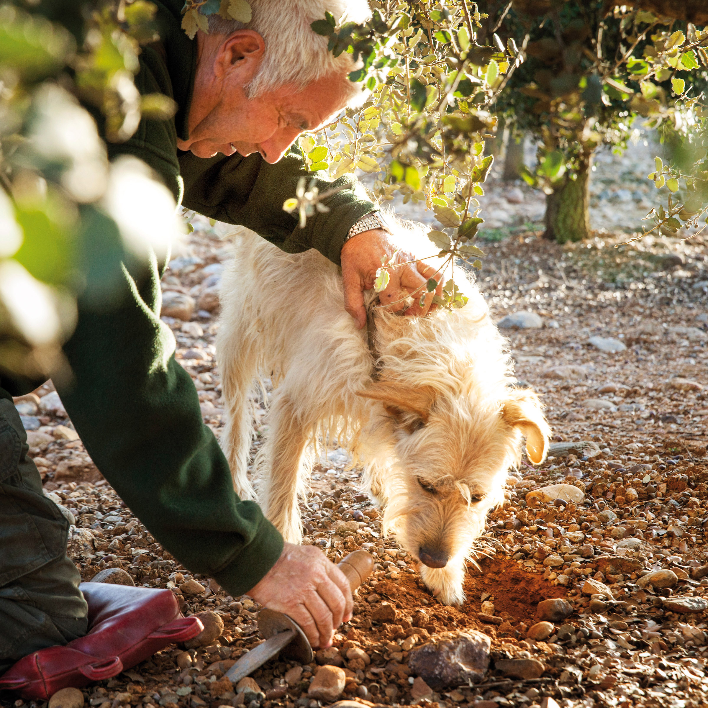 Enlarge Product Preview 8