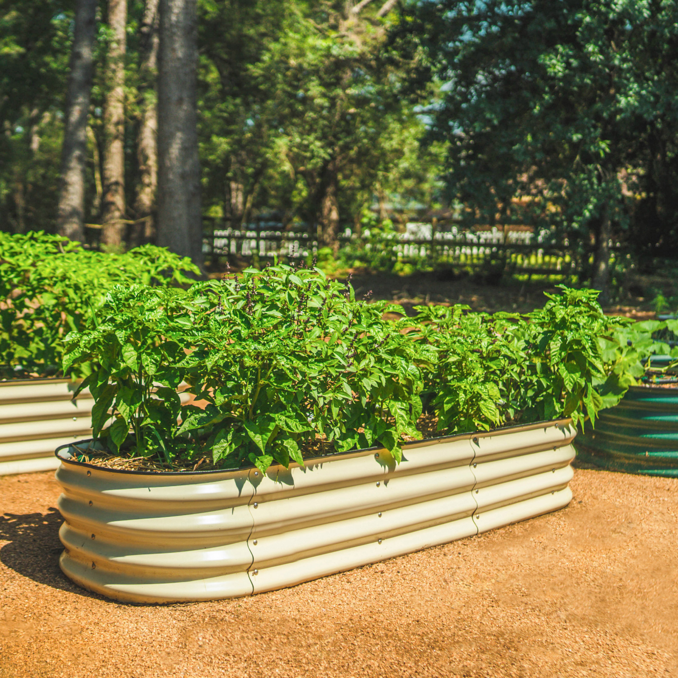 Enlarge Product Preview 3 Successfully Enriched by automation Job.