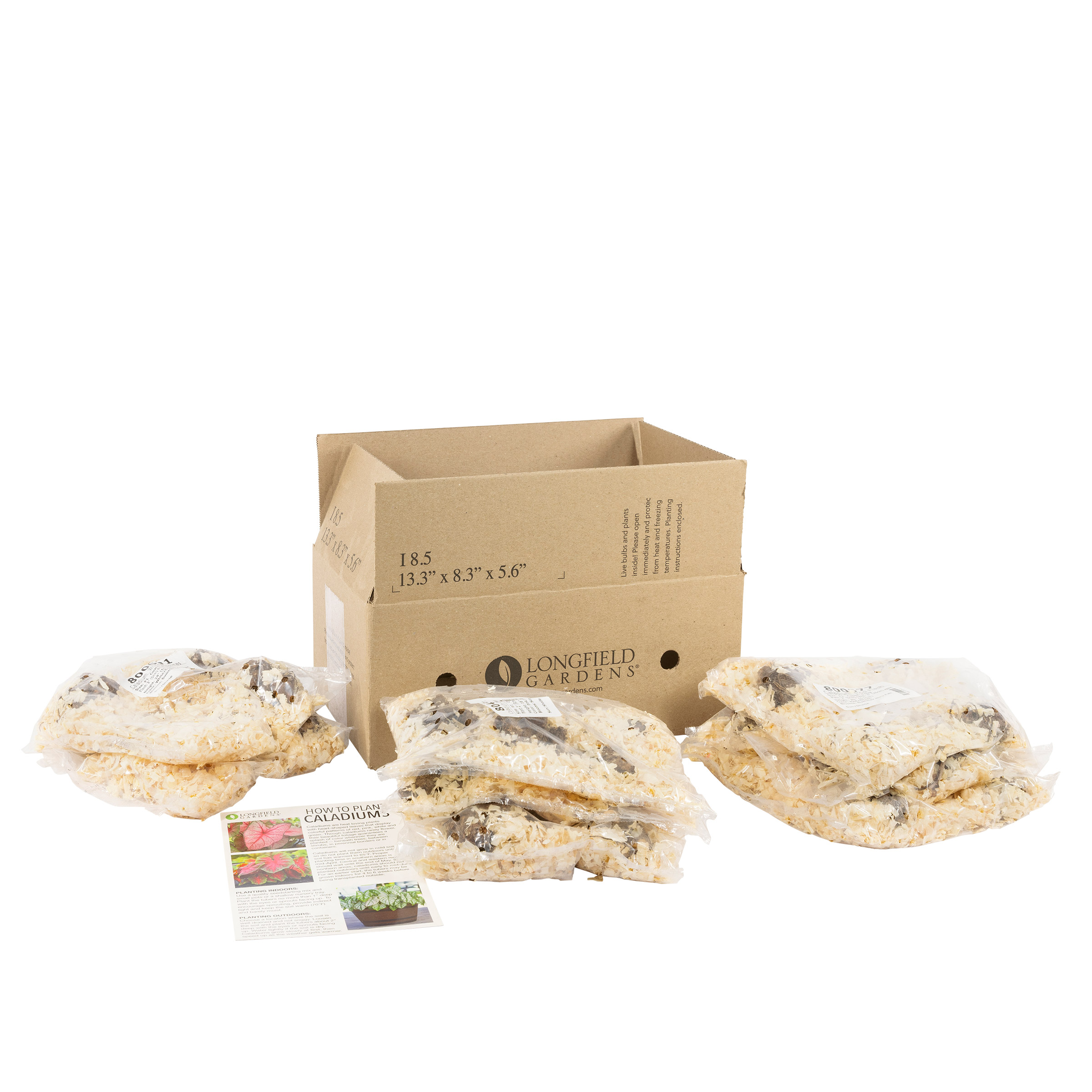 Enlarge Product Preview 5