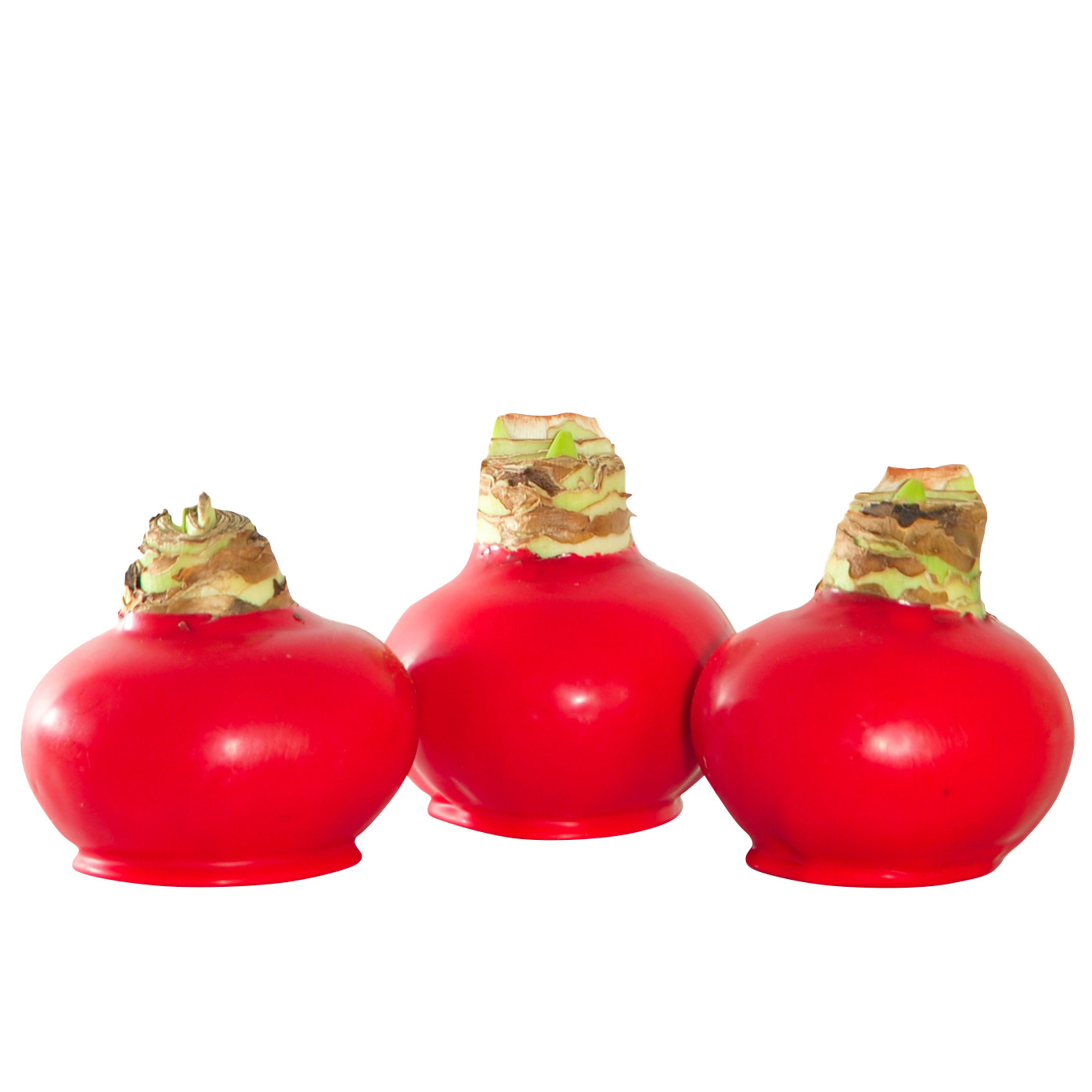 Enlarge Product Preview 2