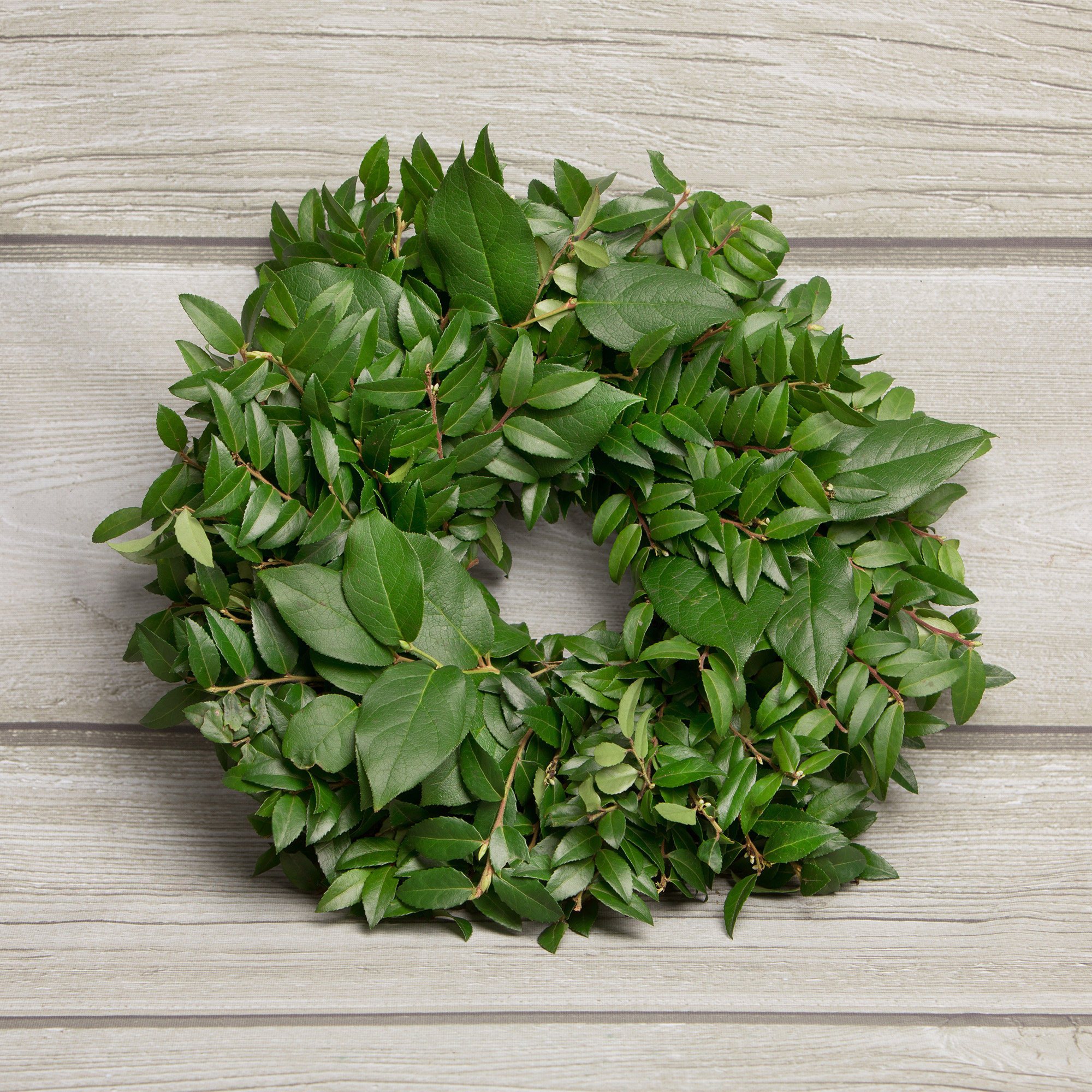 Enlarge Product Preview 6