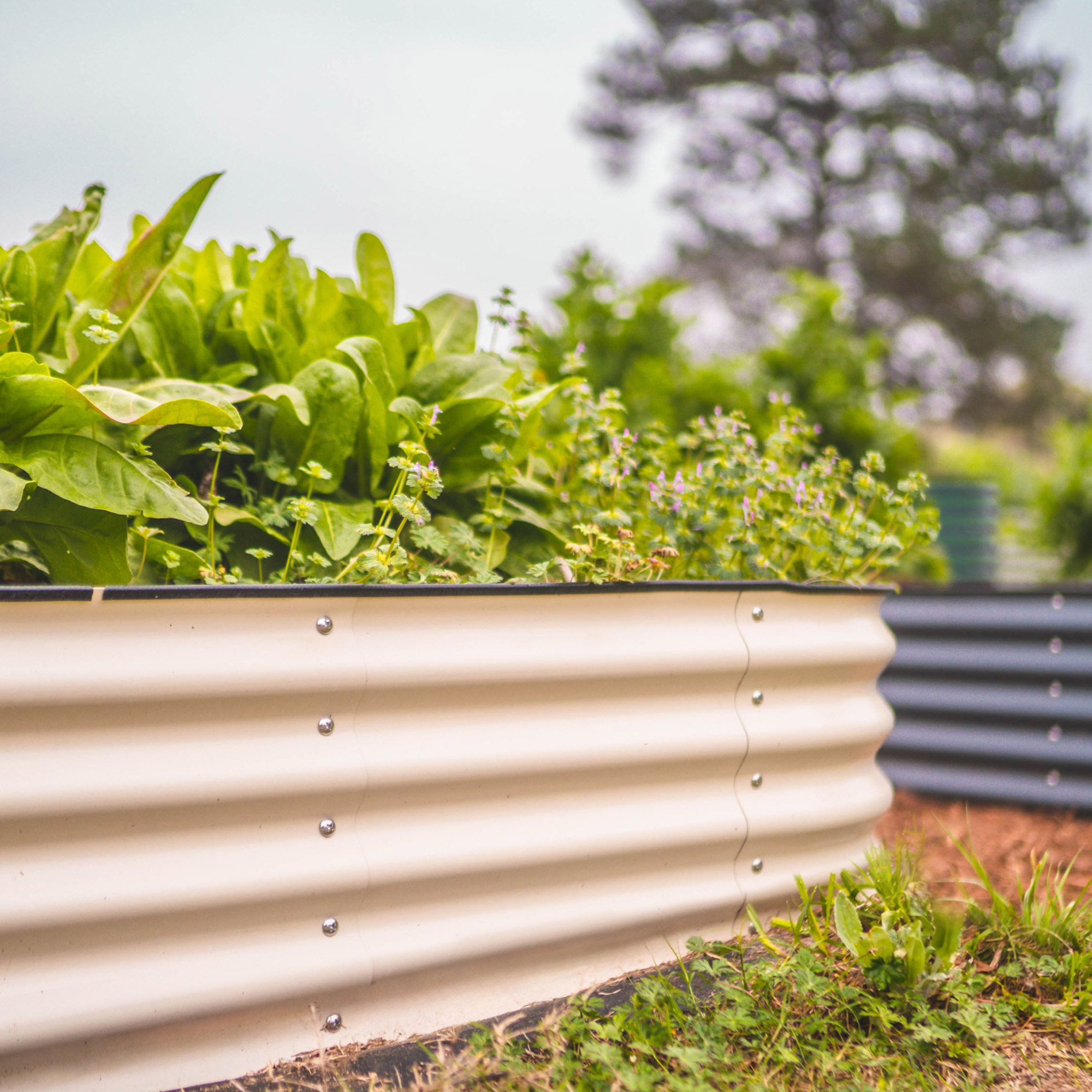 Enlarge Product Preview 4 Successfully Enriched by automation Job.