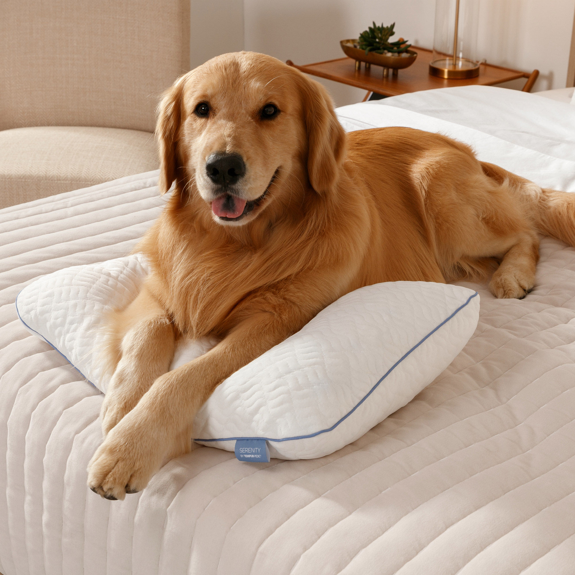 Serenity by Tempur-Pedic Adjustable Memory Foam Shred Bed Pillow
