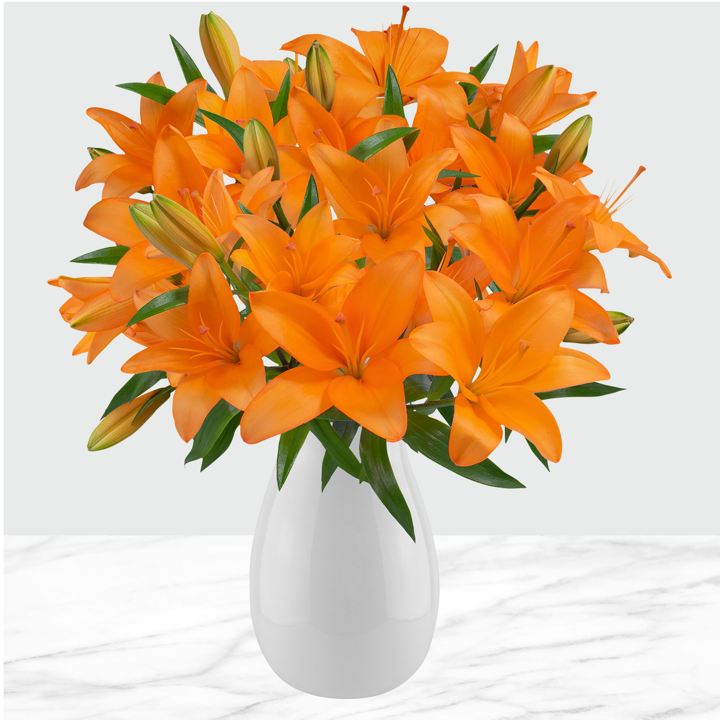 40-stem Asiatic Lilies