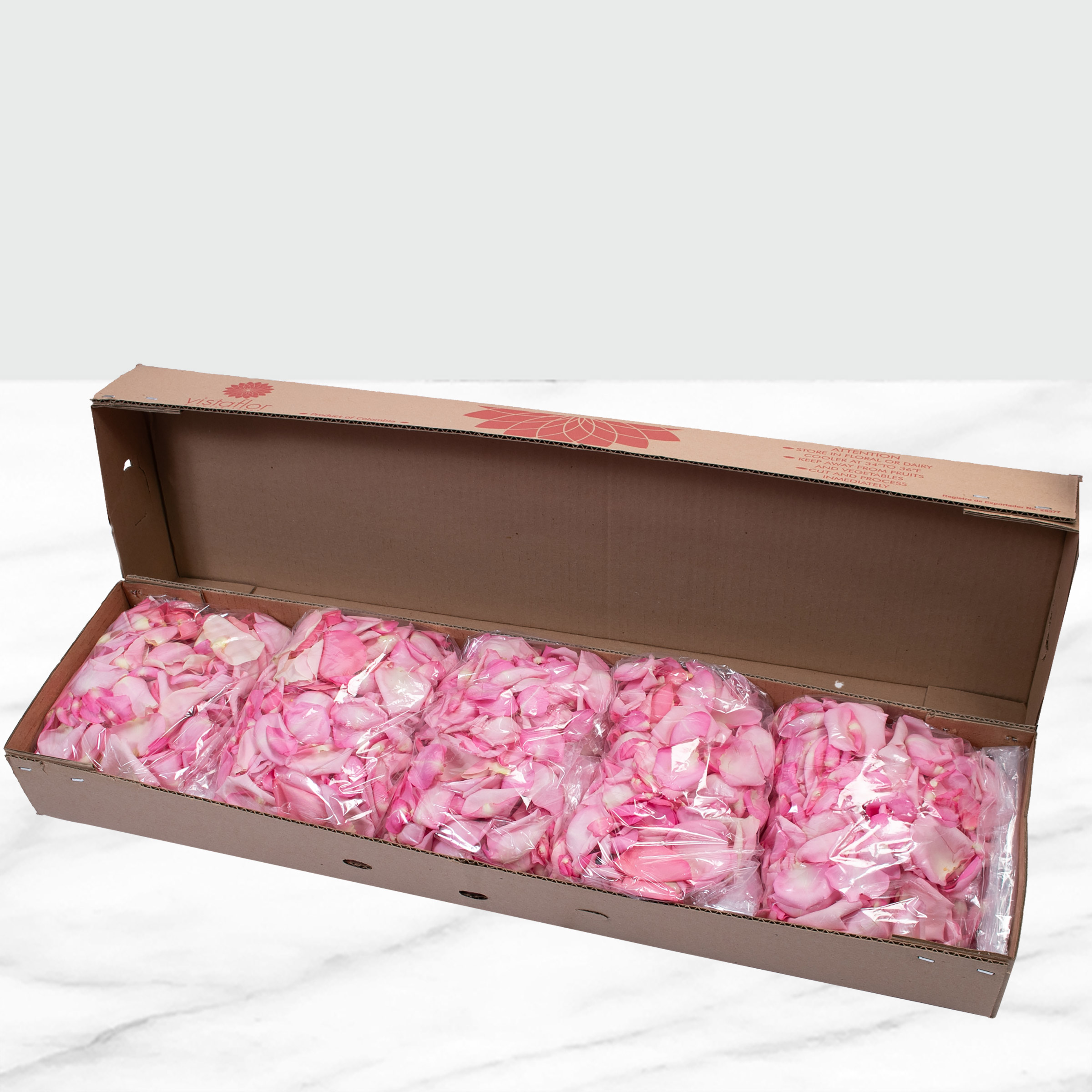 Enlarge Product Preview 2