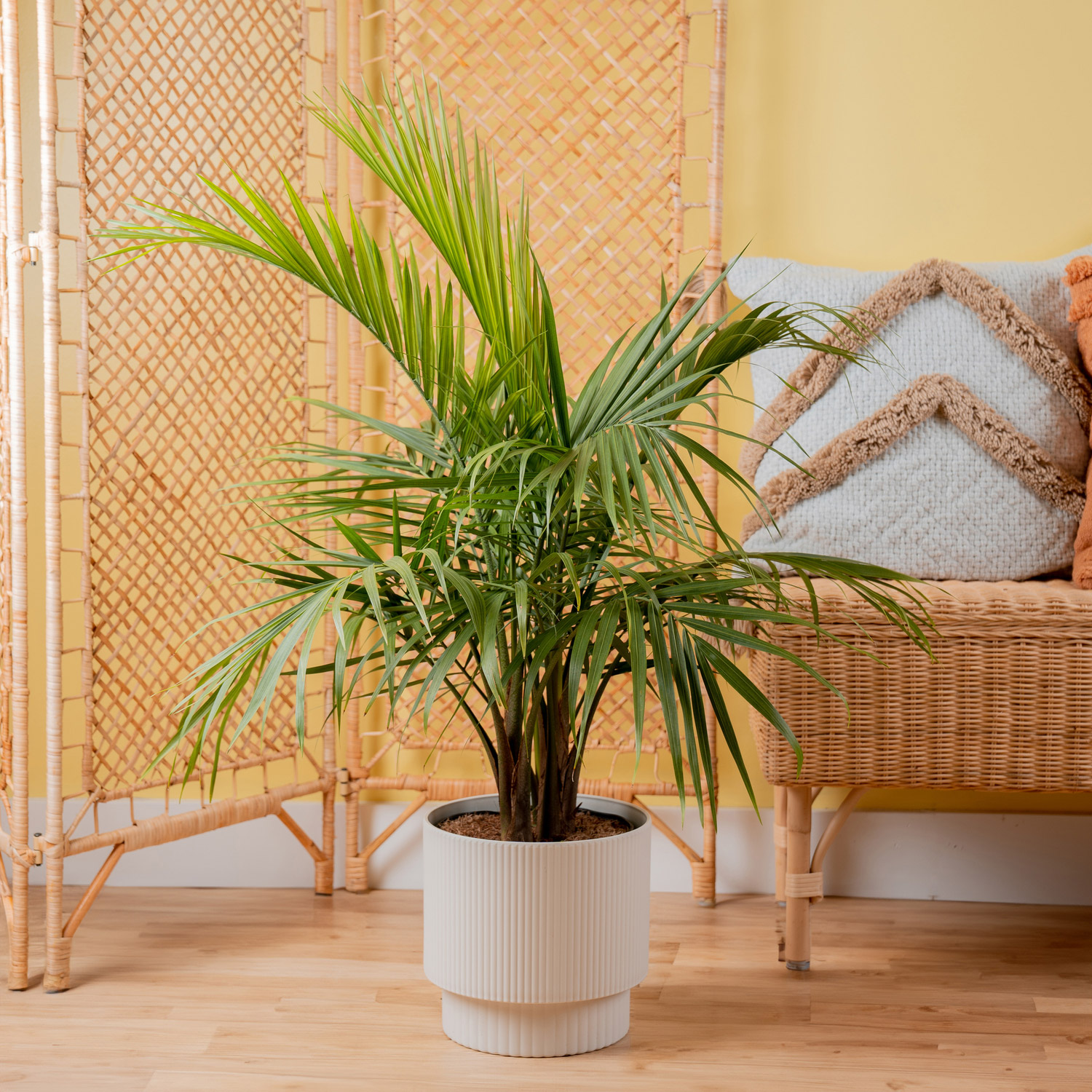 Enlarge Product Preview 2 Successfully Enriched by automation Job.