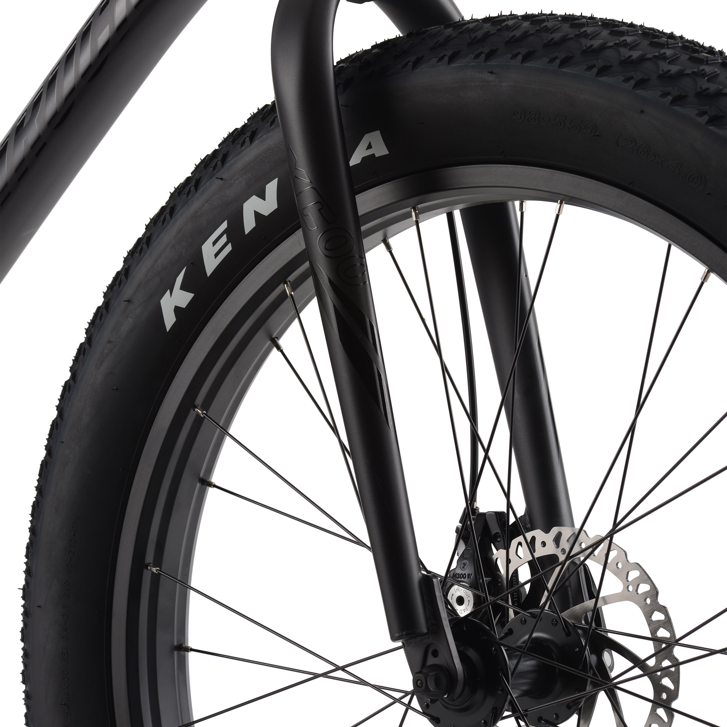 Northrock XC00 Fat Tire Bike | Costco