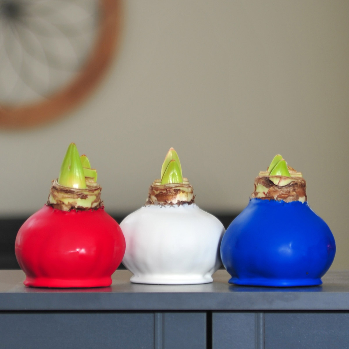 Enlarge Product Preview 7