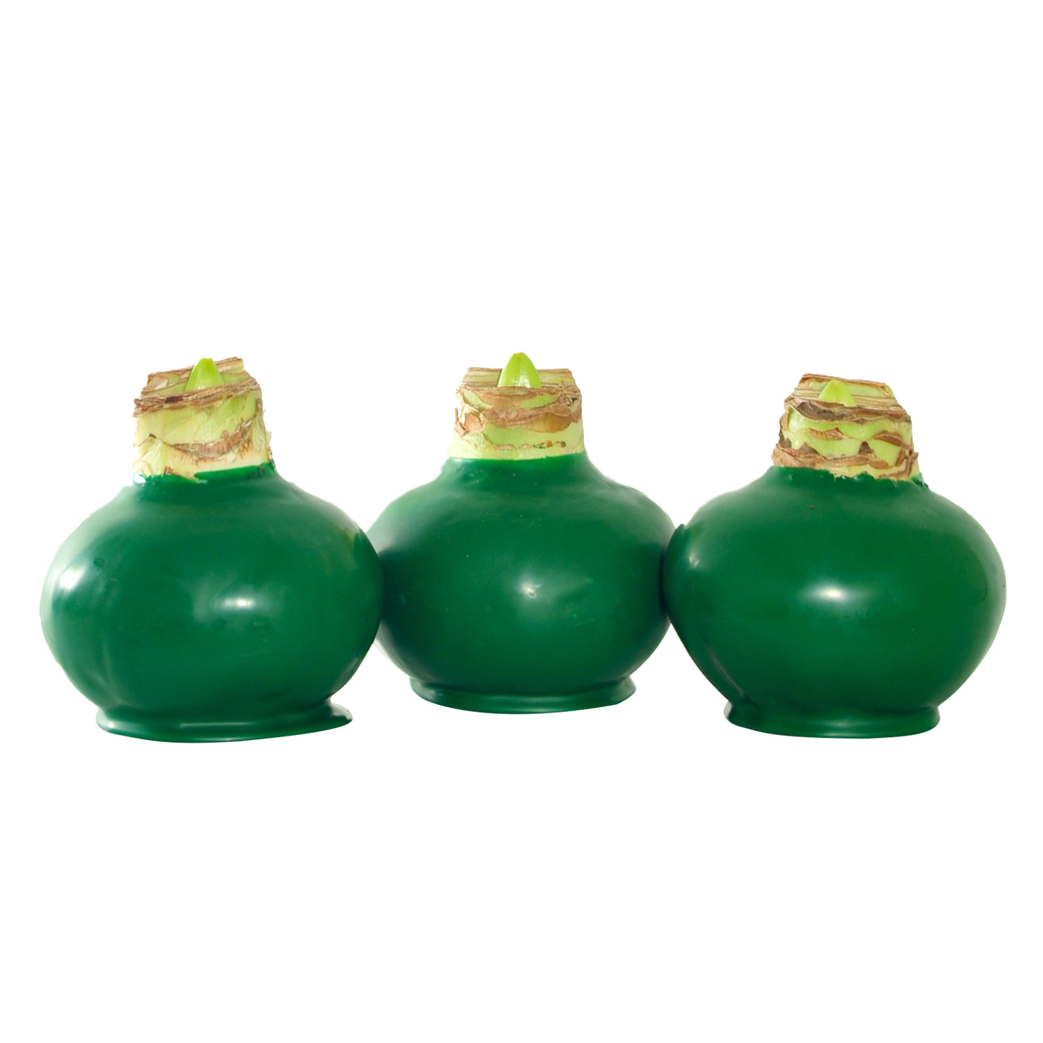 Enlarge Product Preview 5