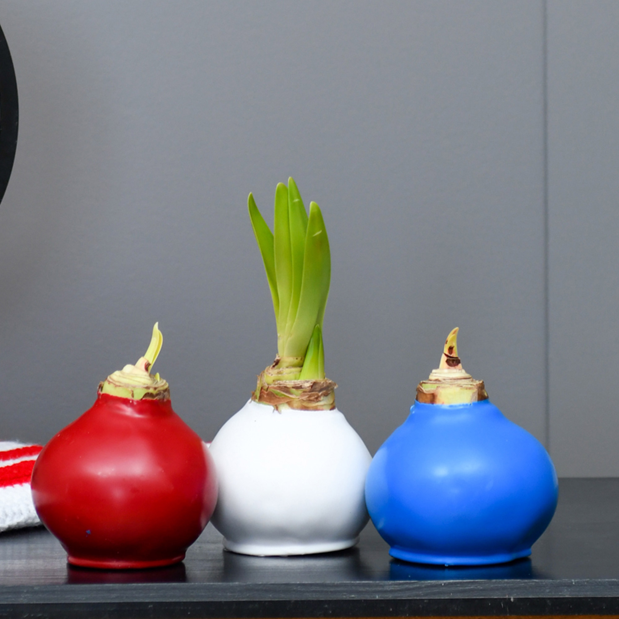 Enlarge Product Preview 4 Successfully Enriched by automation Job.