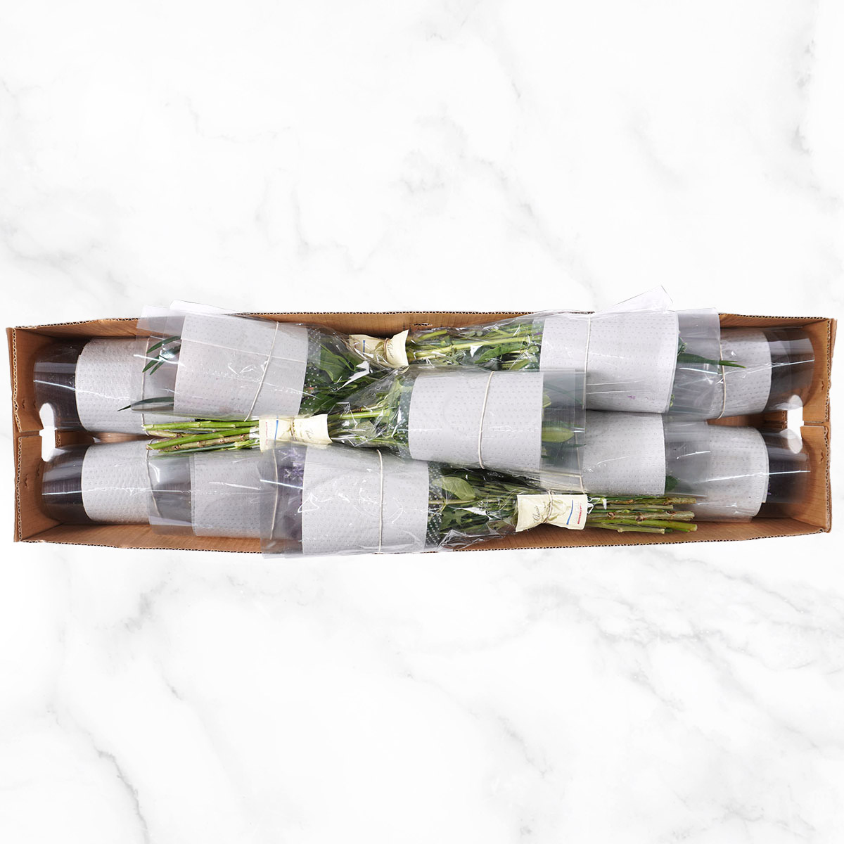 Enlarge Product Preview 5