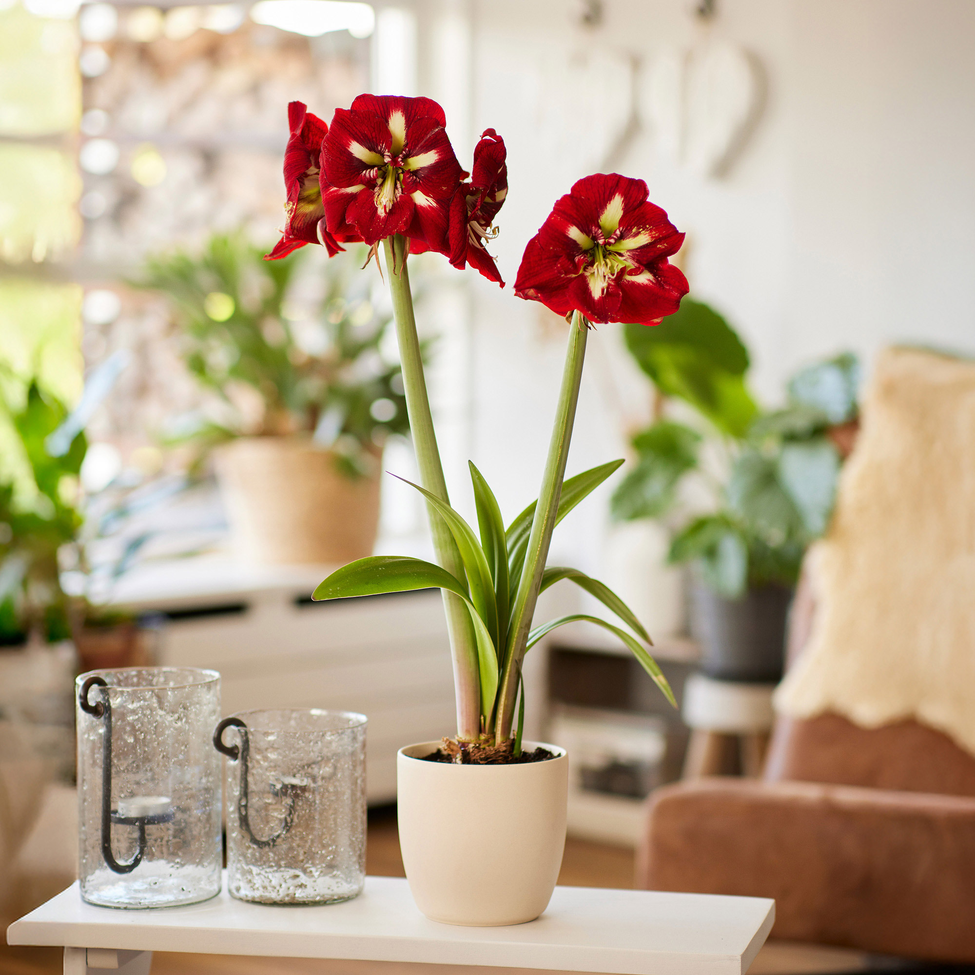 Enlarge Product Preview 2 Successfully Enriched by automation Job.