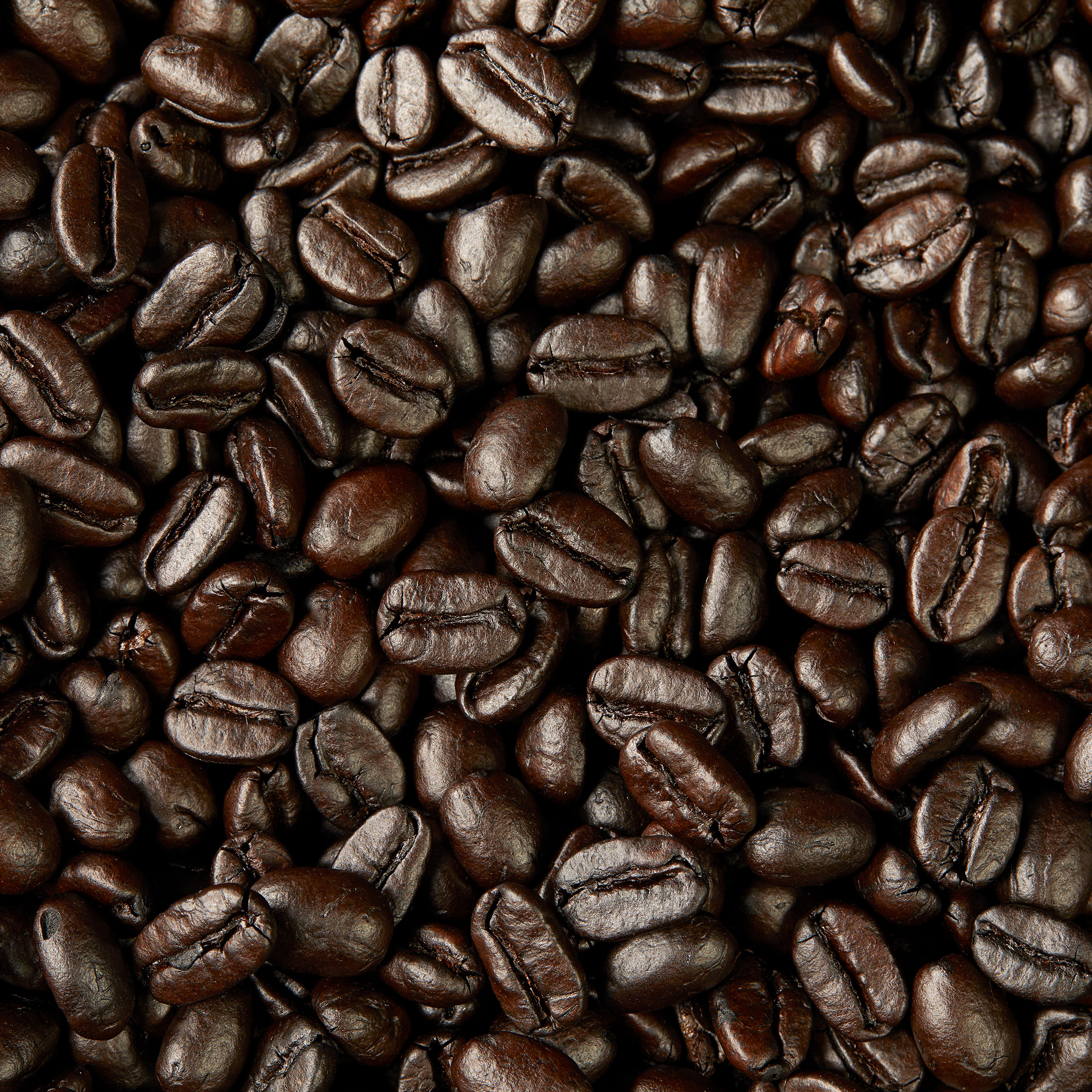 Enlarge Product Preview 7