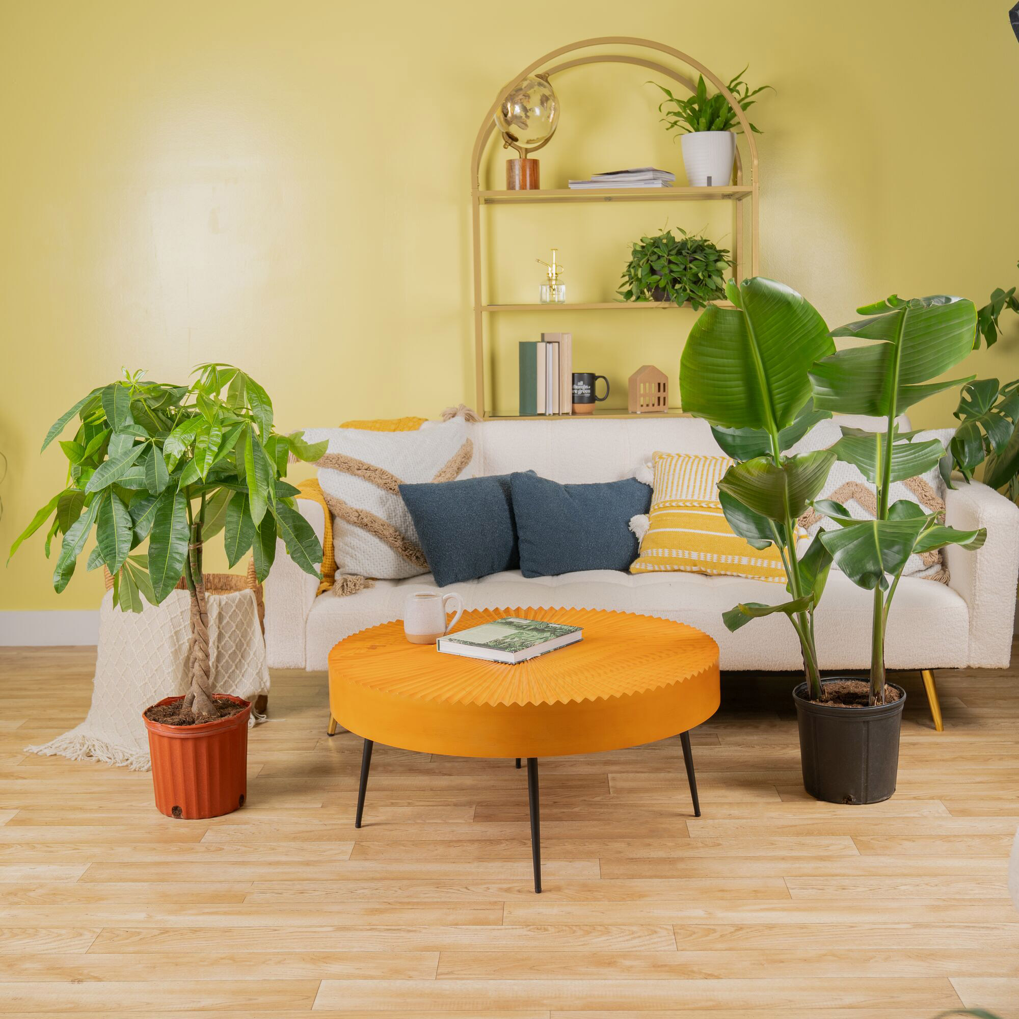 Enlarge Product Preview 2 Successfully Enriched by automation Job.