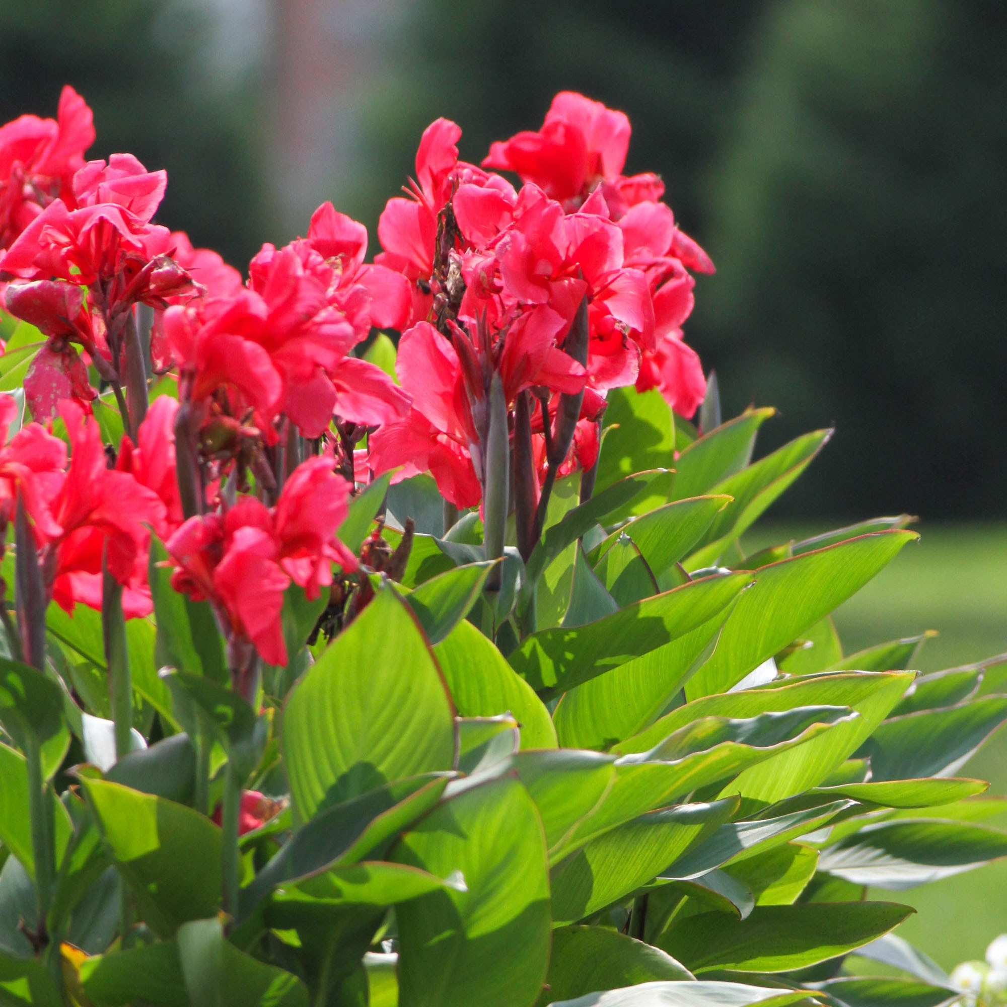 Enlarge Product Preview 6