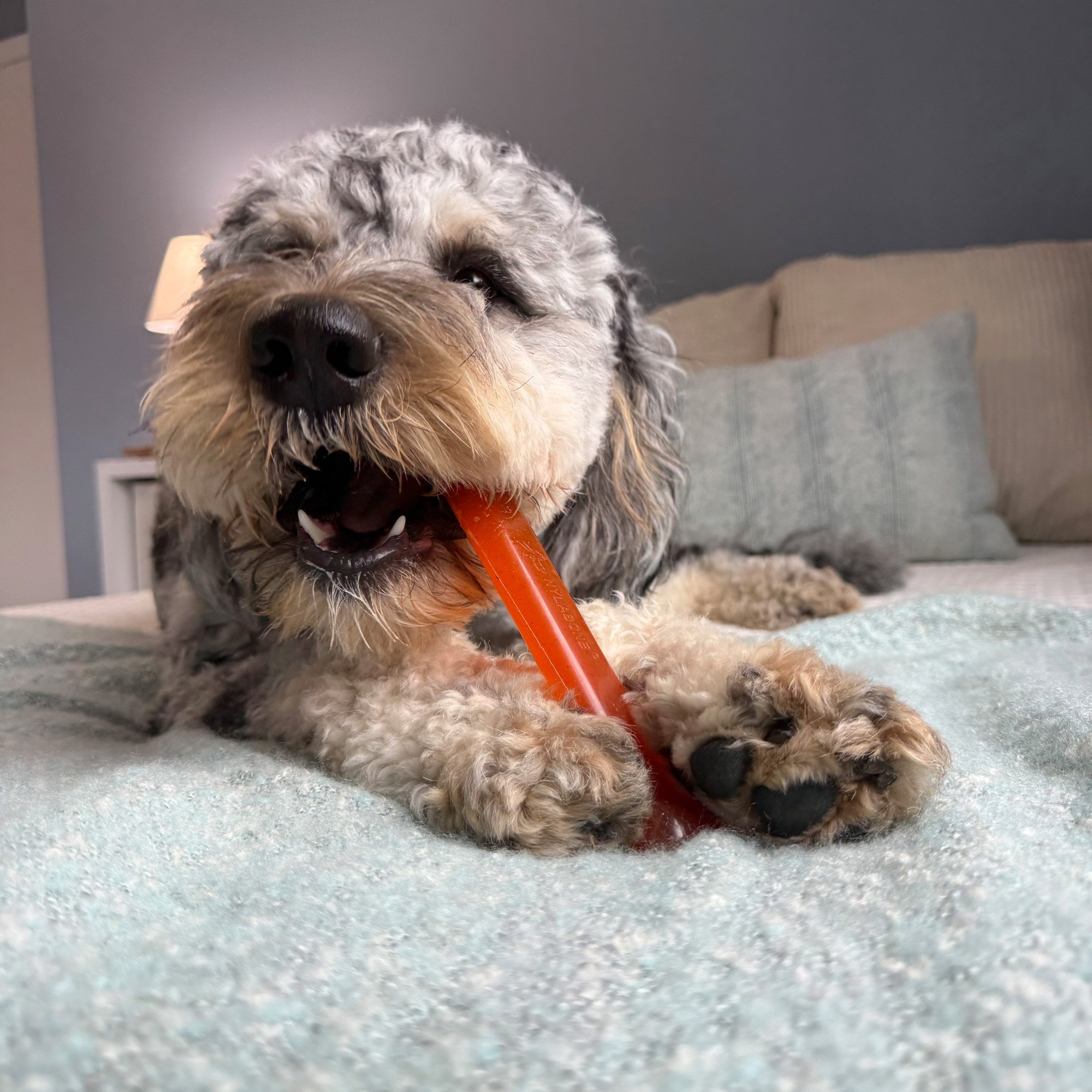 Enlarge Product Preview 3 Successfully Enriched by automation Job.