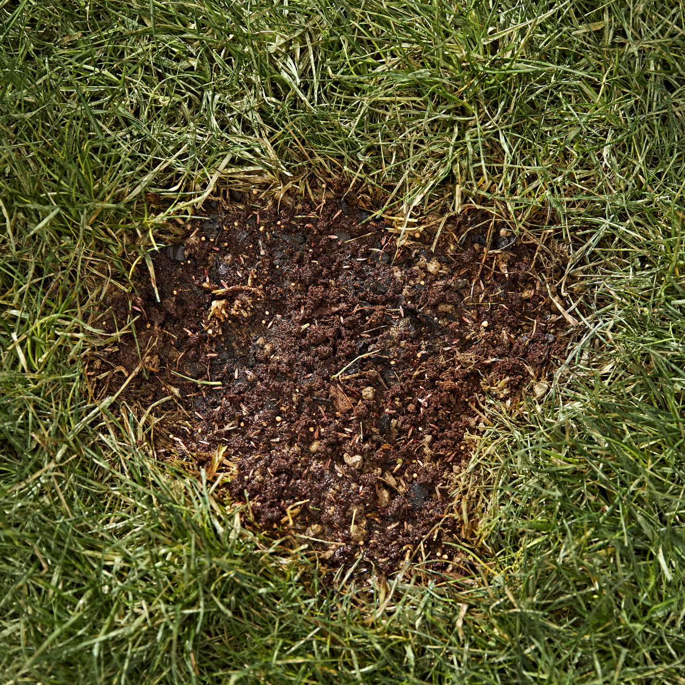 Enlarge Product Preview 5