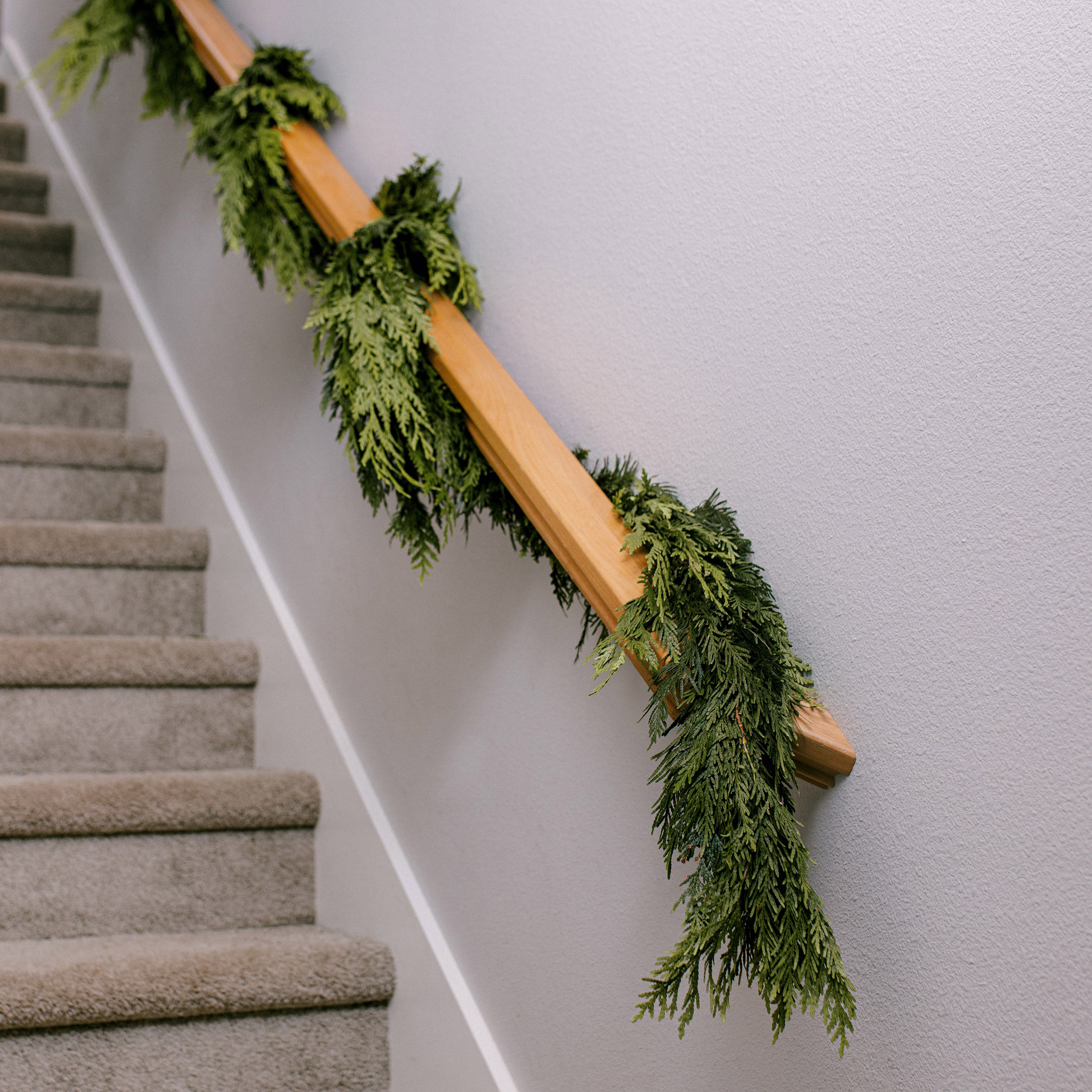 Enlarge Product Preview 3