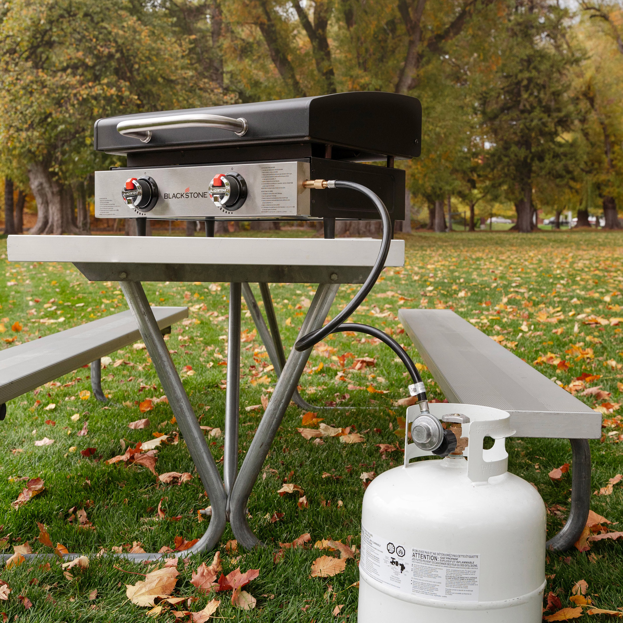 Enlarge Product Preview 5 Successfully Enriched by automation Job.