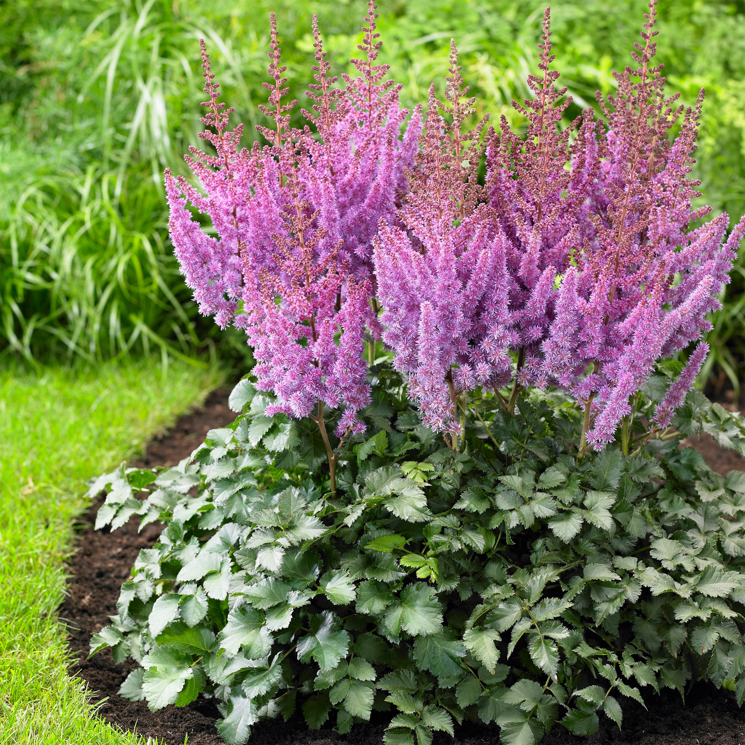 Enlarge Product Preview 27