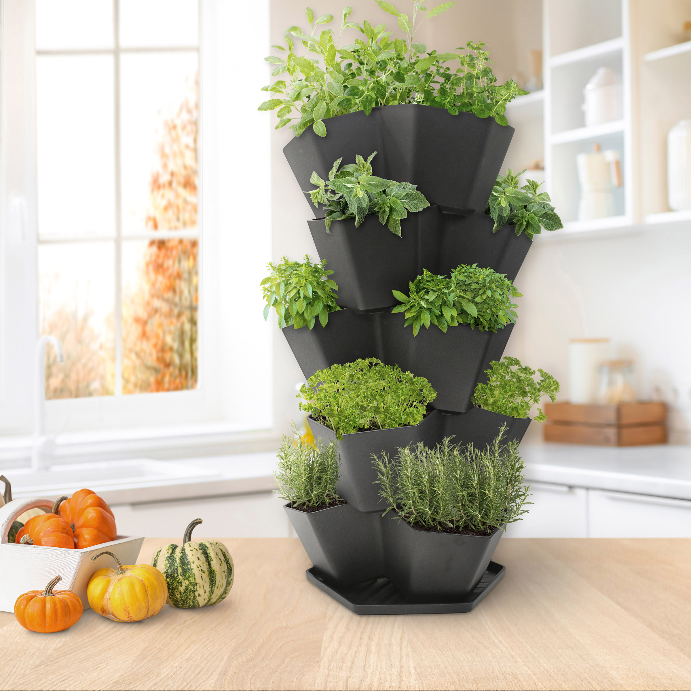 Enlarge Product Preview 2 Successfully Enriched by automation Job.