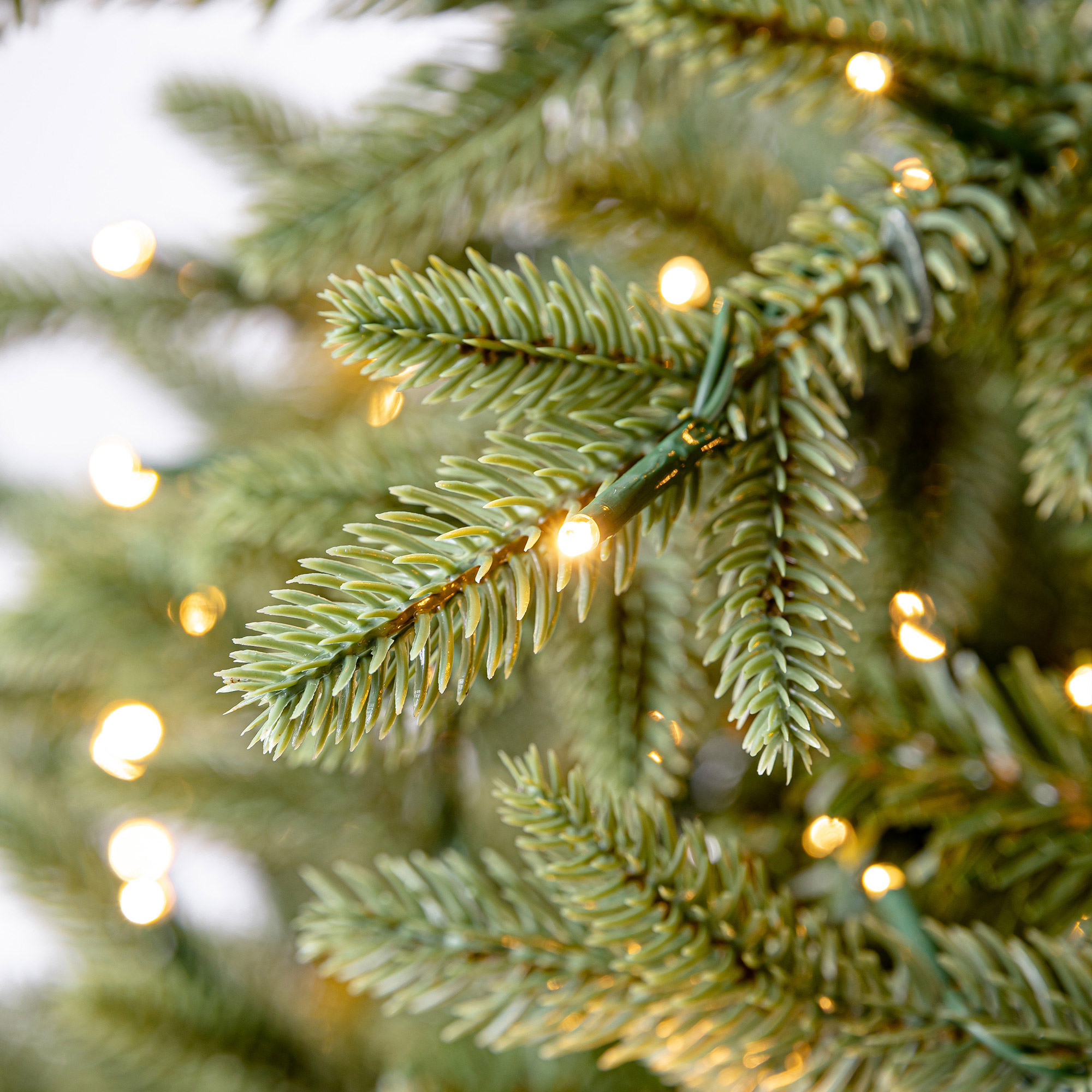 Enlarge Product Preview 9 Successfully Enriched by automation Job.