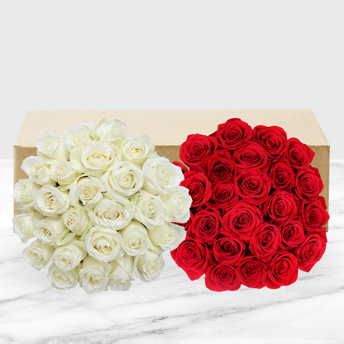 Enlarge Product Preview 2