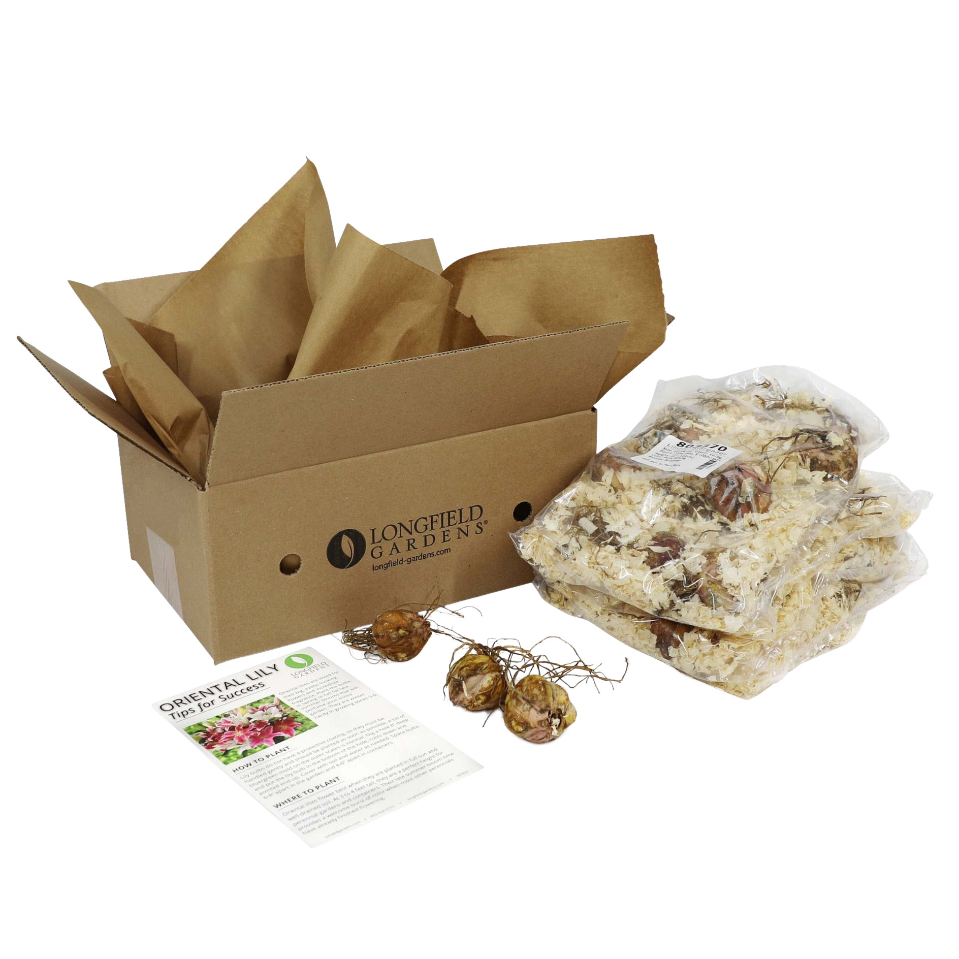 Enlarge Product Preview 14 Successfully Enriched by automation Job.