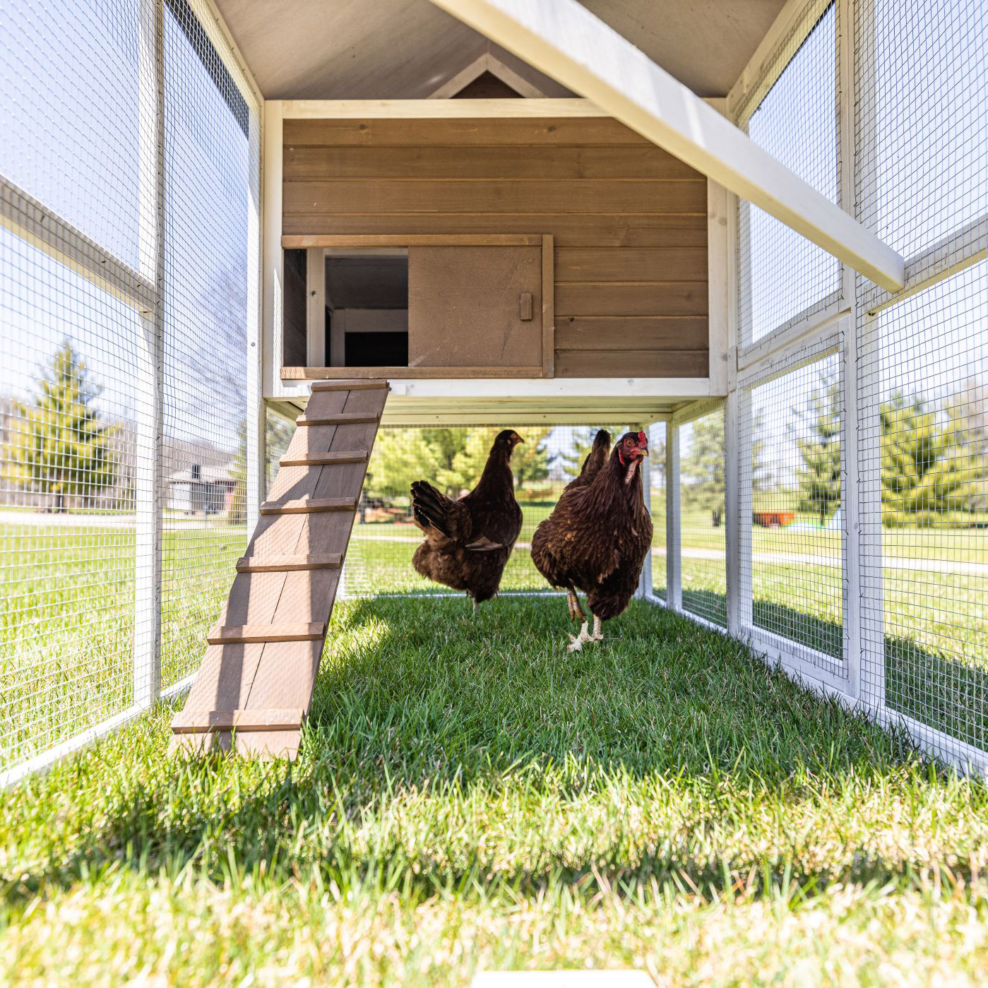 Enlarge Product Preview 7 Successfully Enriched by automation Job.