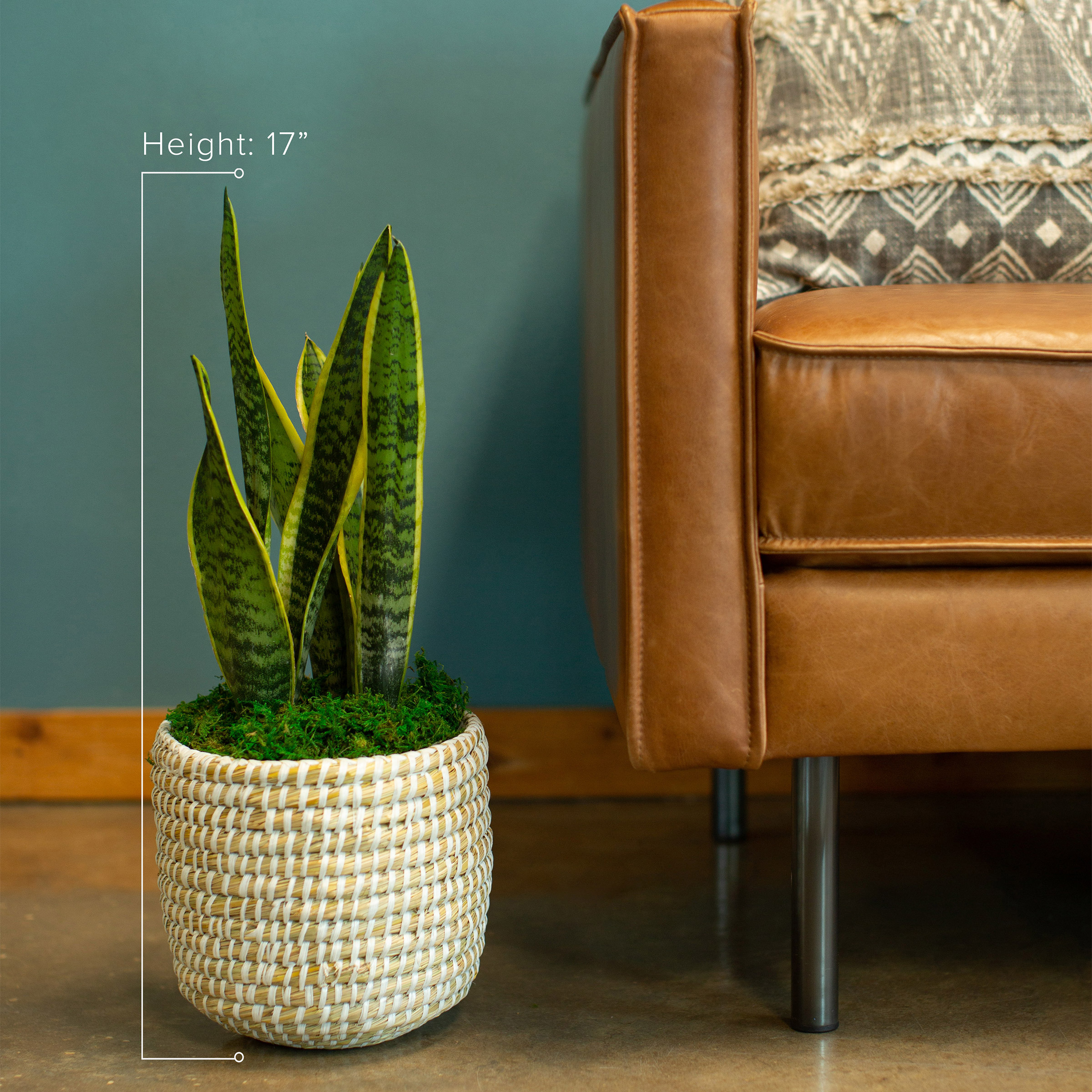 Enlarge Product Preview 2