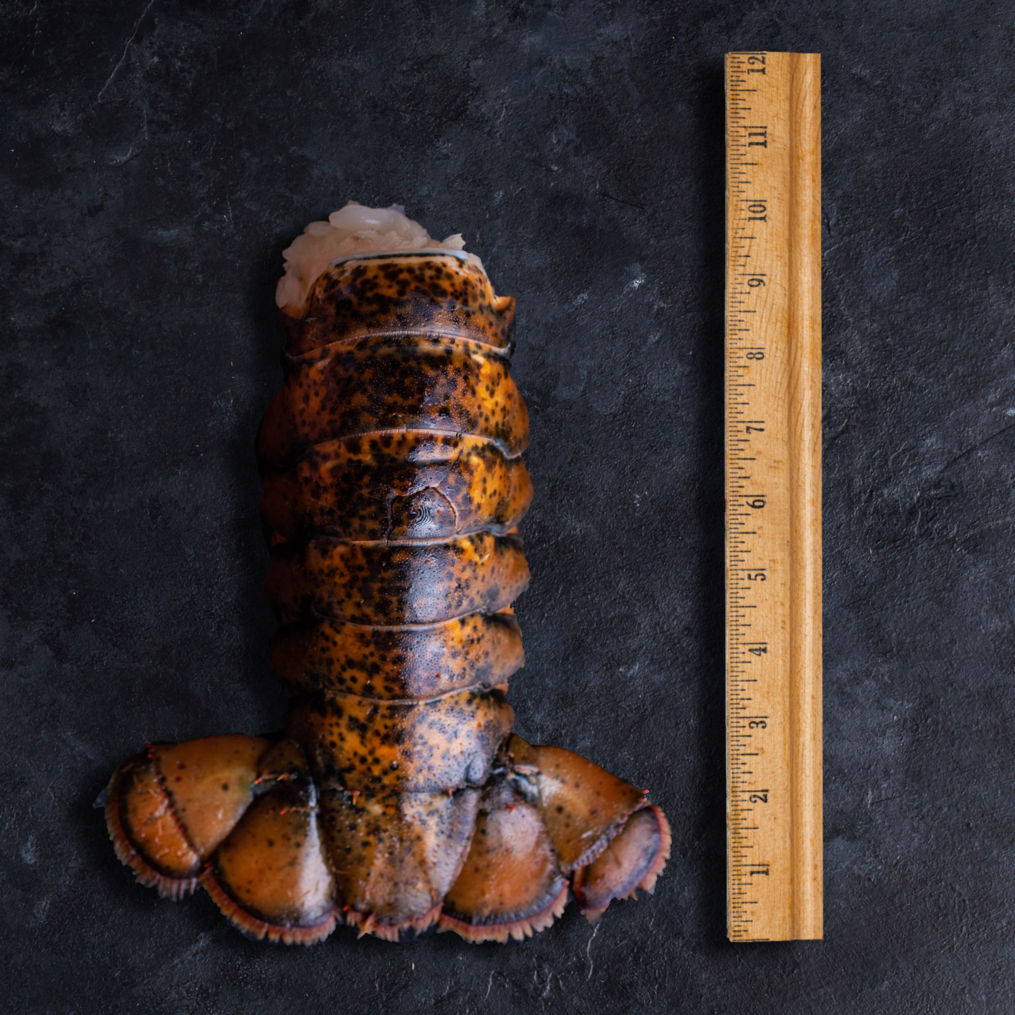 Enlarge Product Preview 3