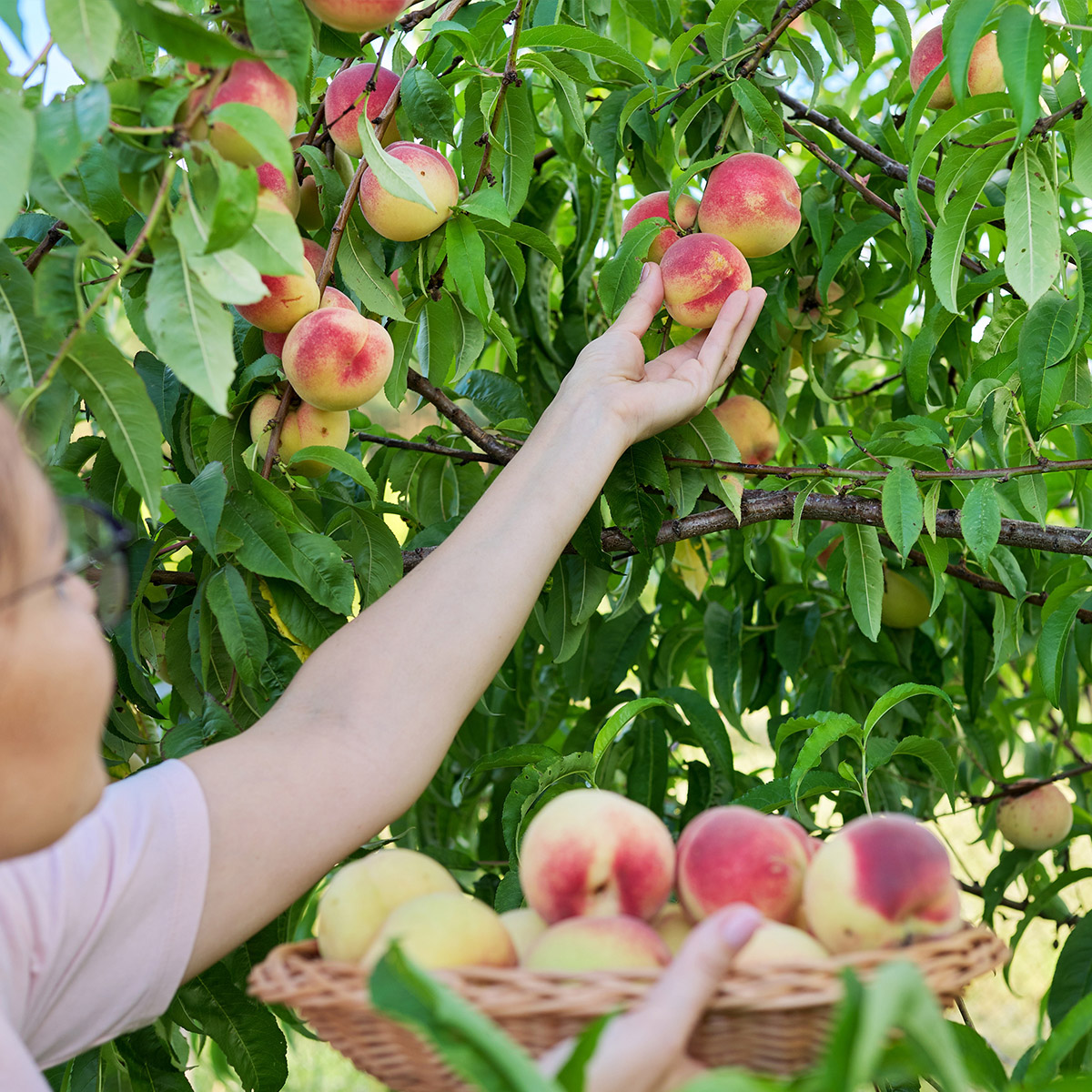 Enlarge Product Preview 7