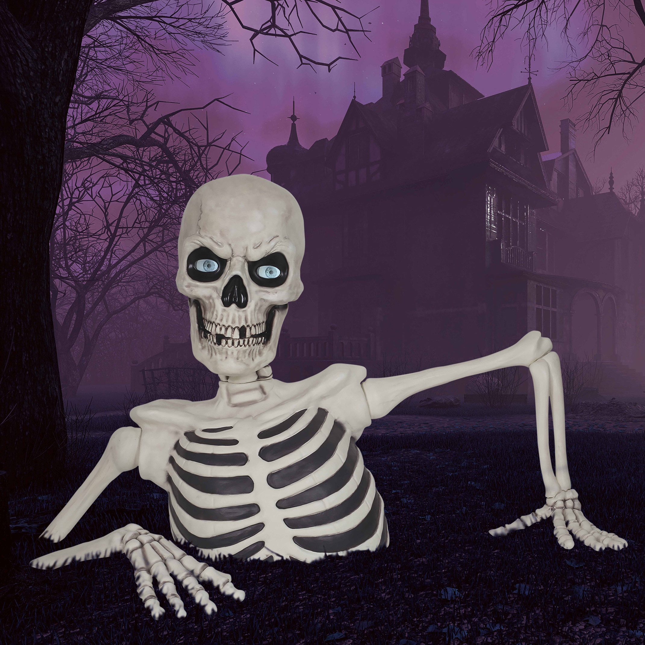 限定10体 planetx CADAVER HALLOWEEN SPECIAL 限定10体 planetx CADAVER HALLOWEEN SPECIAL