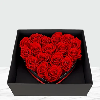 FOREVER ROSE