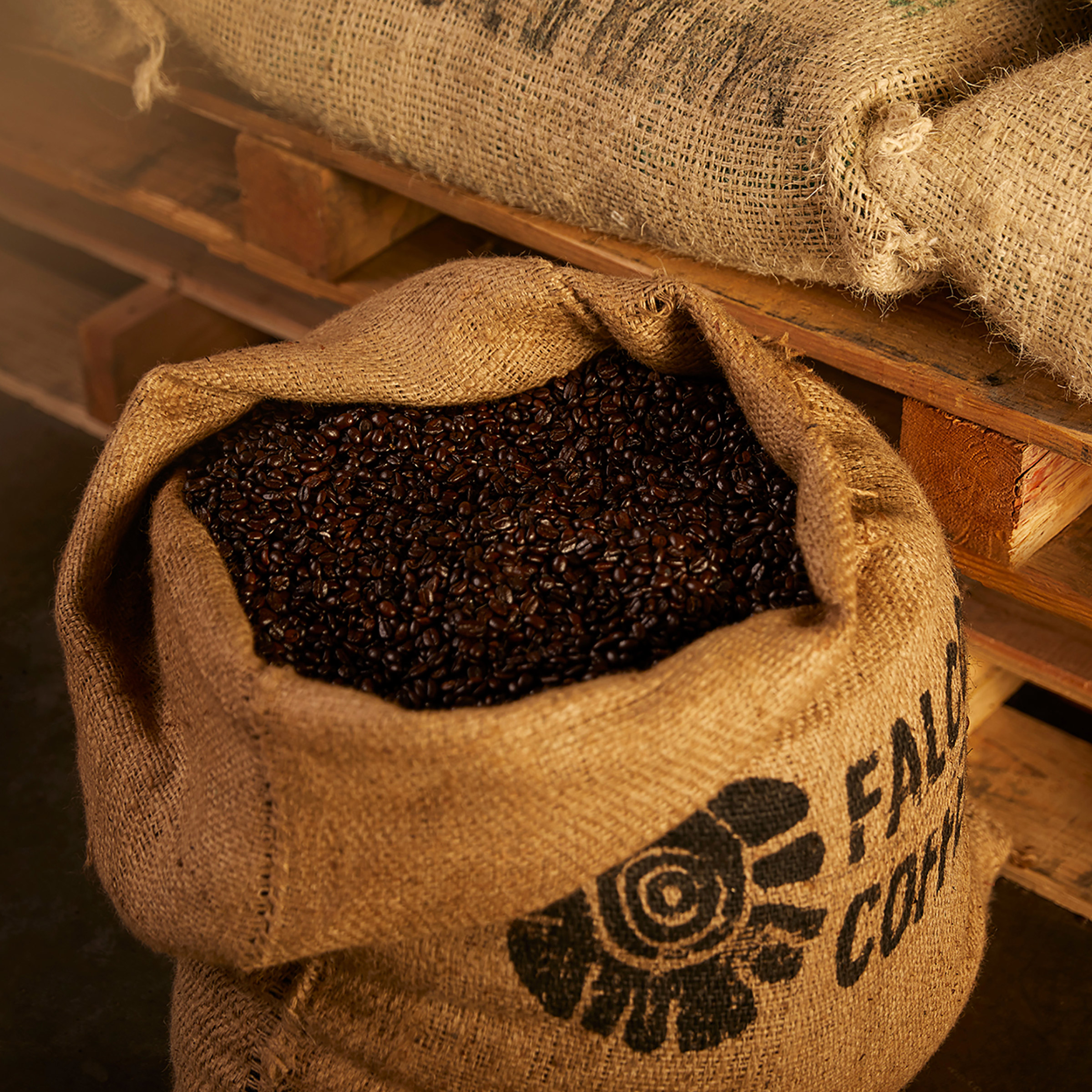 Enlarge Product Preview 6