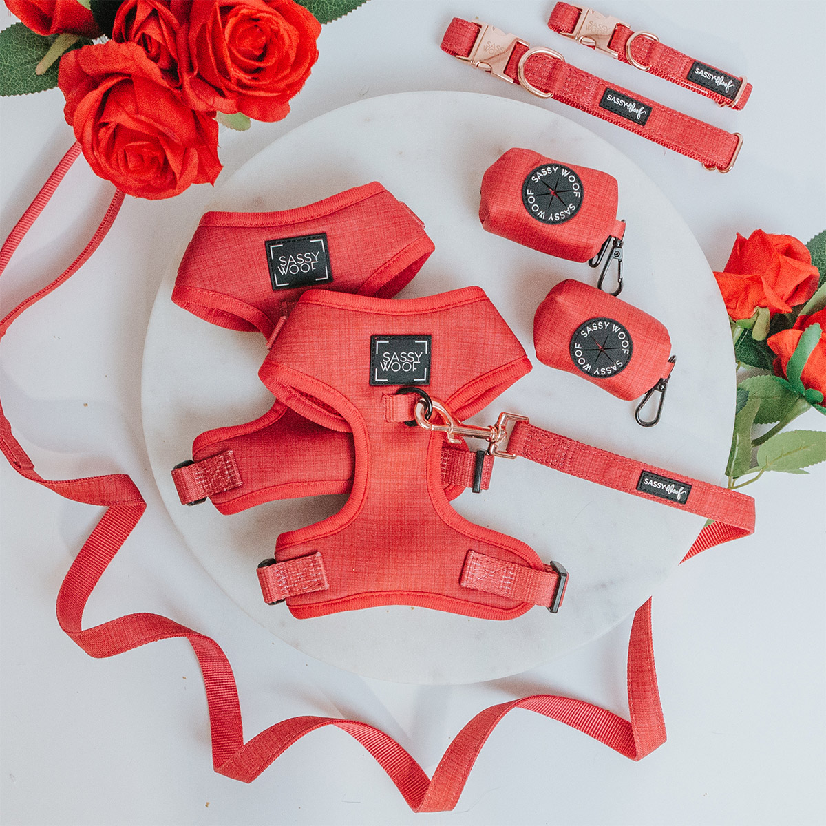 Sassy Woof - Costco Next