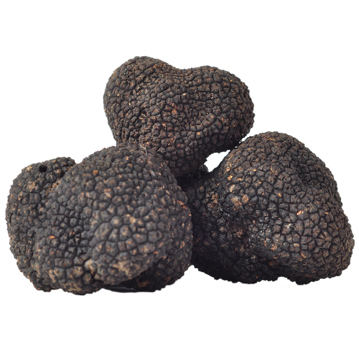 Enlarge Product Preview 2